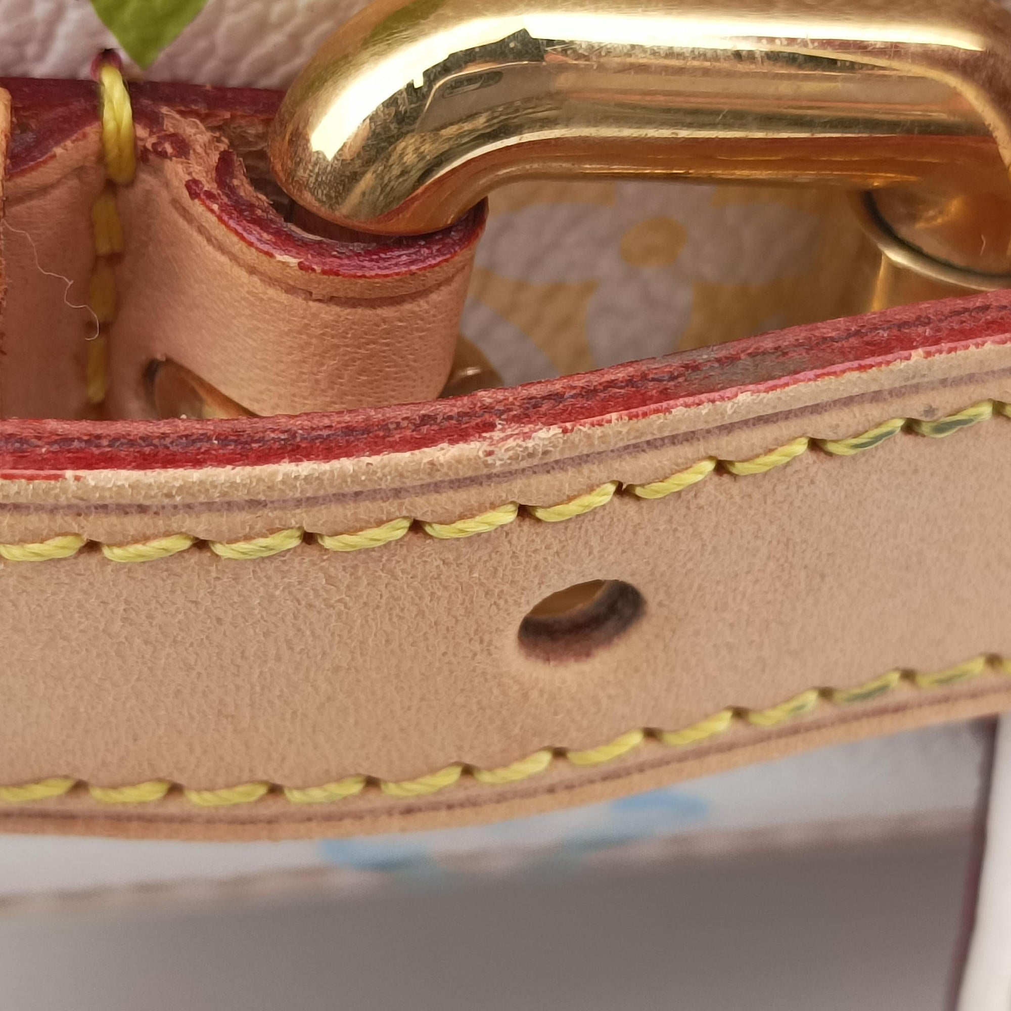 Pre-owned Louis Vuitton Petit NOe white Monogram Multicolor M42229 shoulderbag | stylenewstar