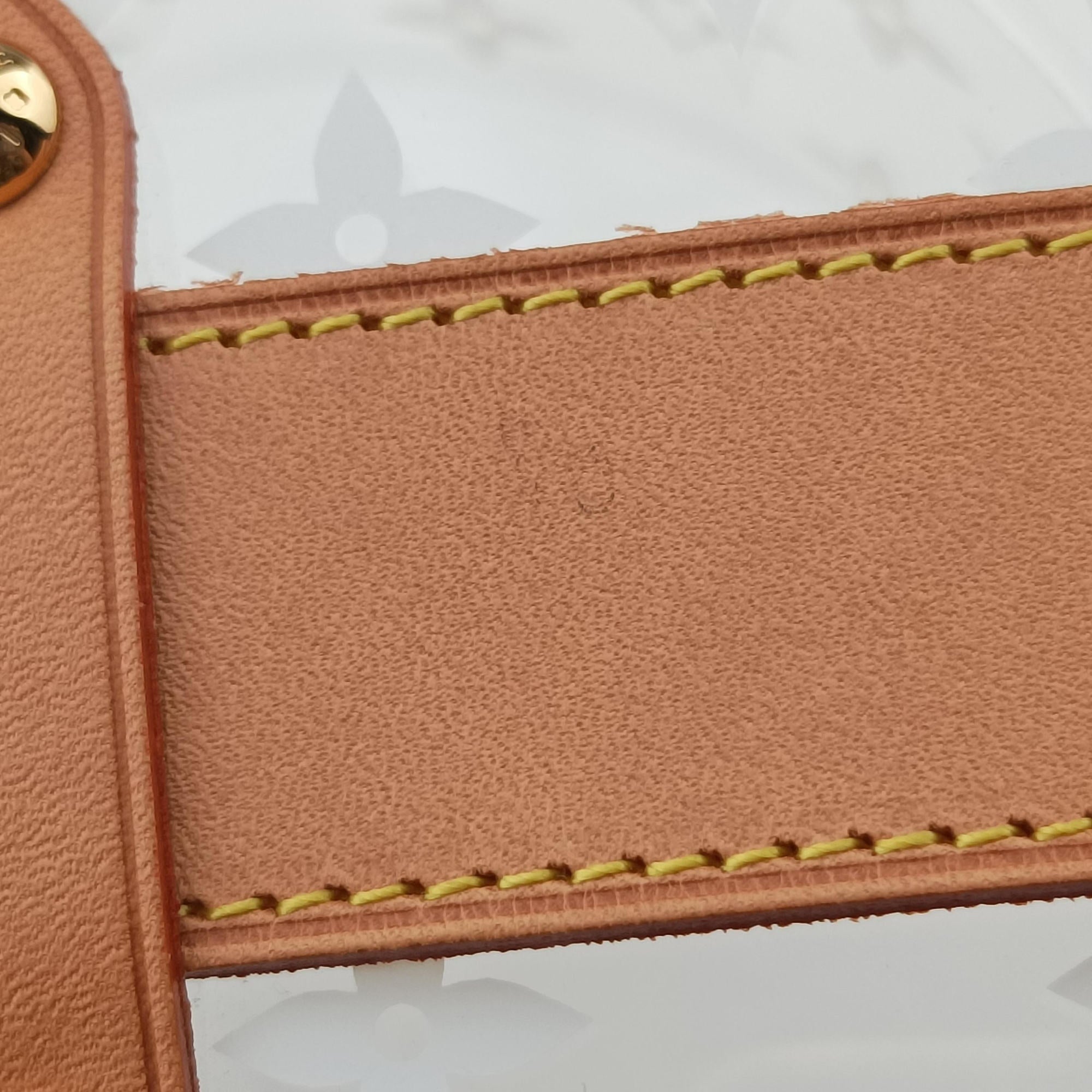 Pre-owned Louis Vuitton Box Scott Transparent Monogram Plexiglass  clutchbag | stylenewstar