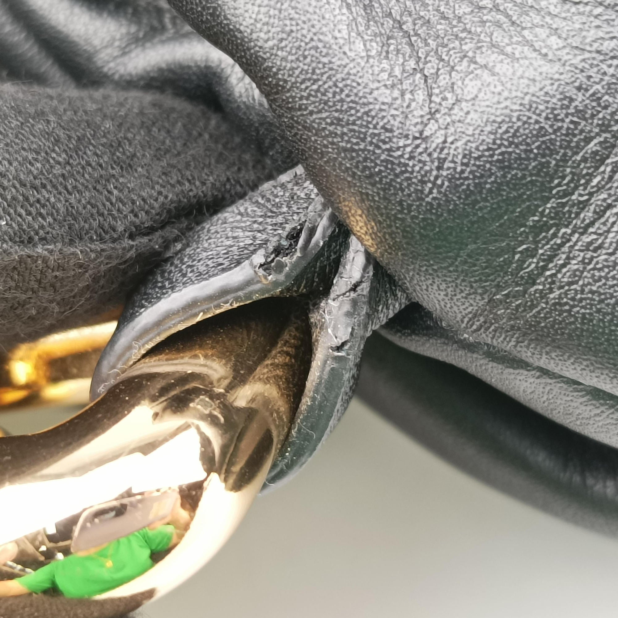 Pre-owned Bottega Veneta THE Chain Pouch Black lambskin  shoulderbag | stylenewstar