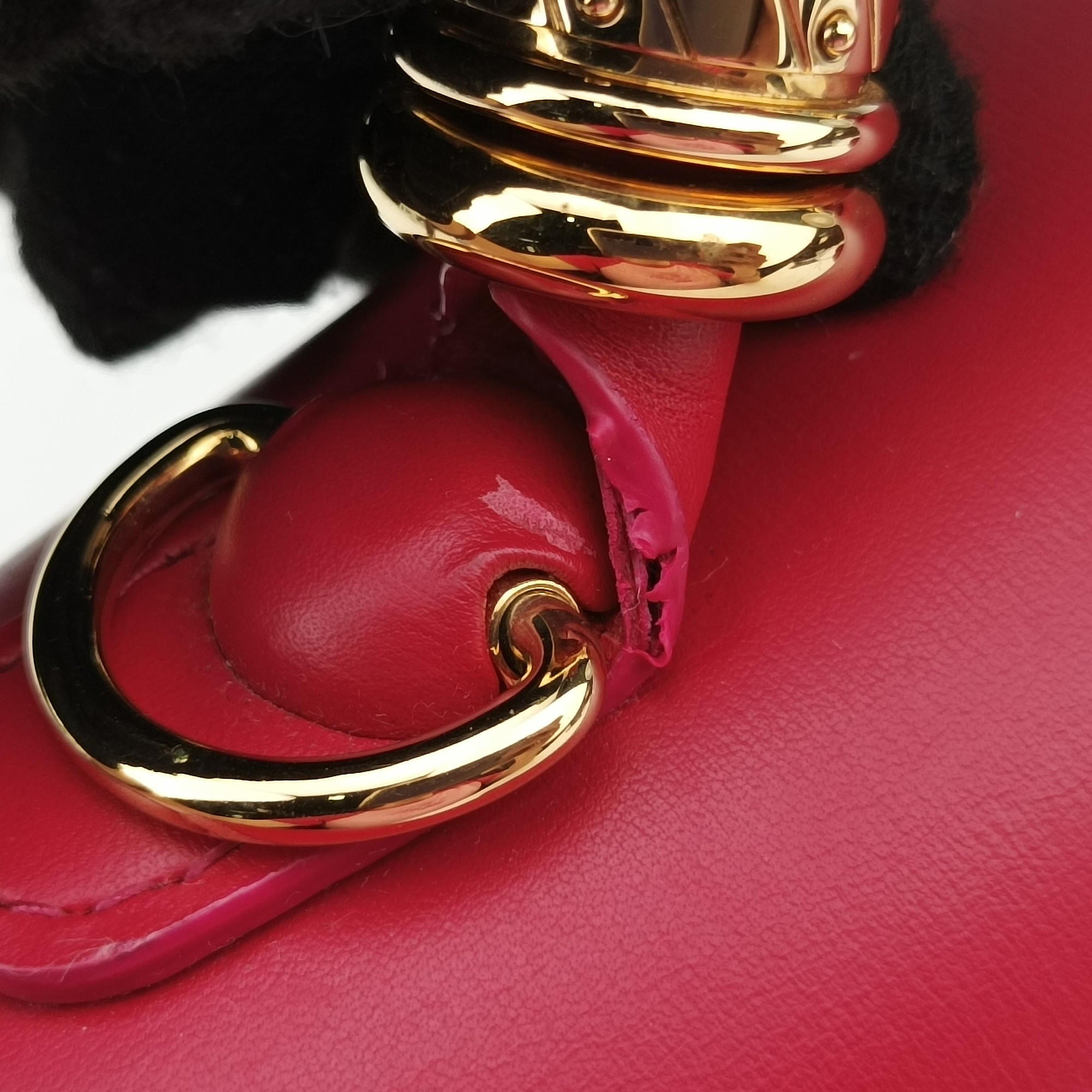 Pre-owned Delvaux Brillant Mini Rose leather  shoulderbag | stylenewstar