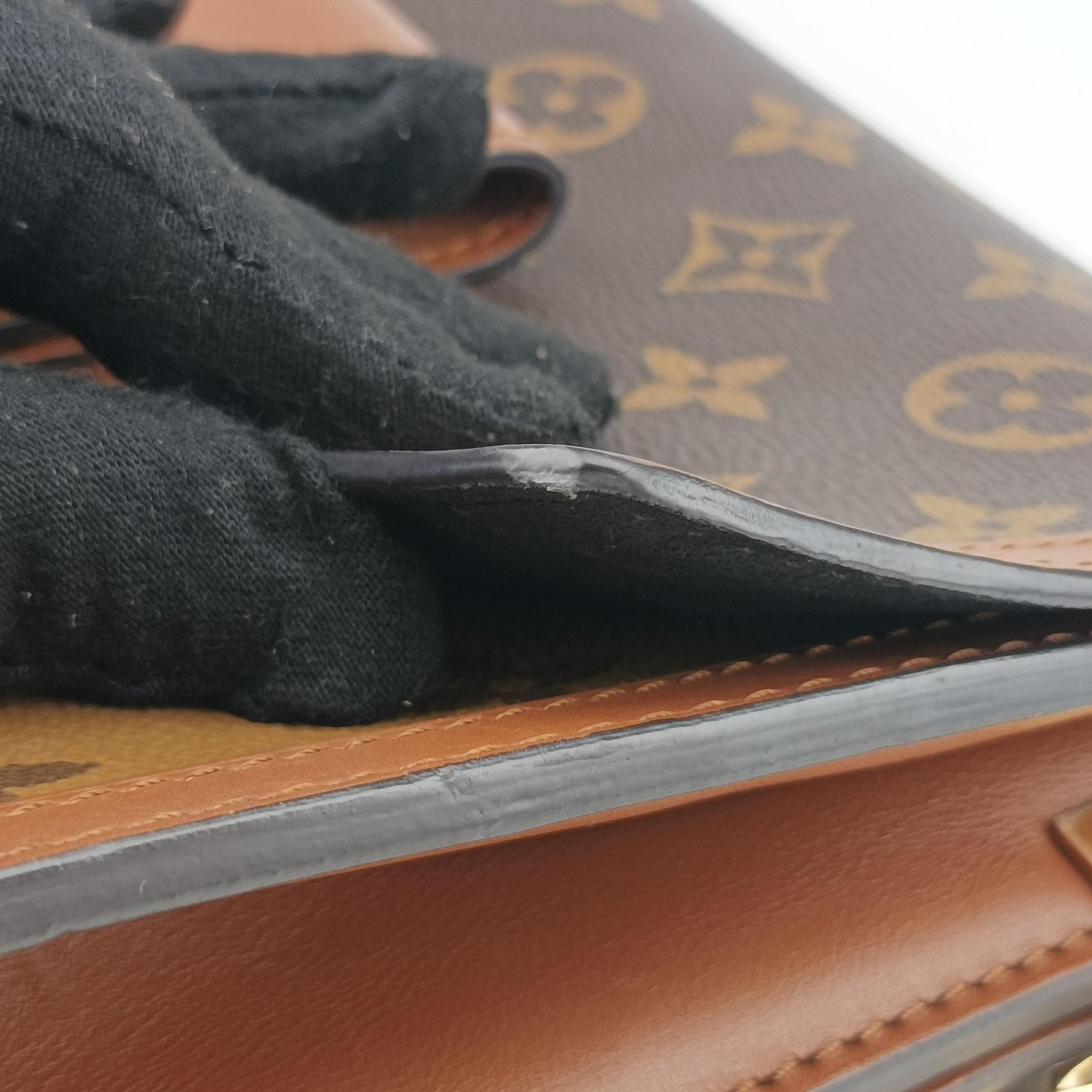 Pre-owned Louis Vuitton DAUPHINE brown Monogram Reverse M45958 shoulderbag | stylenewstar