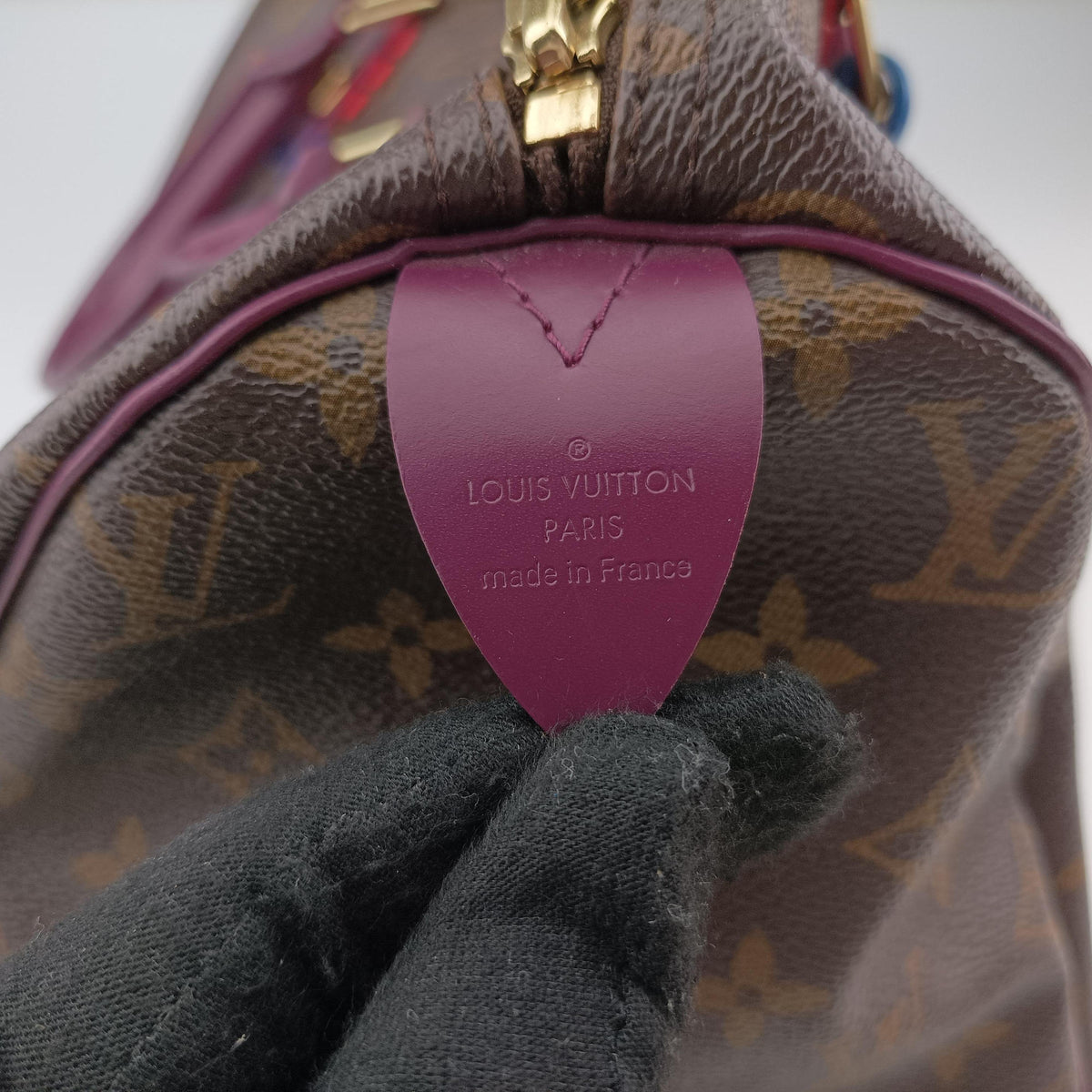 Vintage Louis Vuitton Speedy30 brown×Magenta Monogram Totem M41666 handbag | stylenewstar