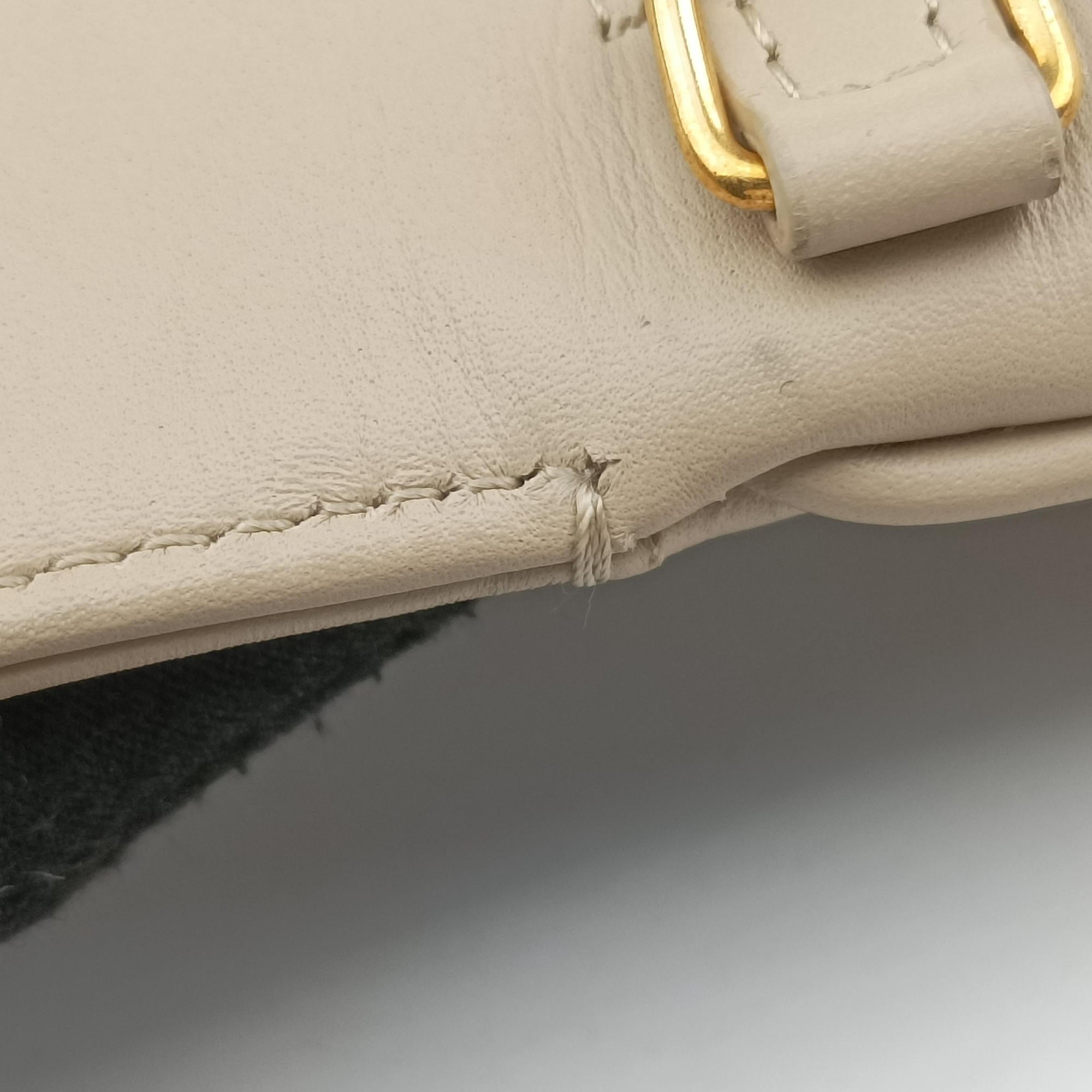 Pre-owned Christian Dior Diordouble Beige Leather  shoulderbag | stylenewstar