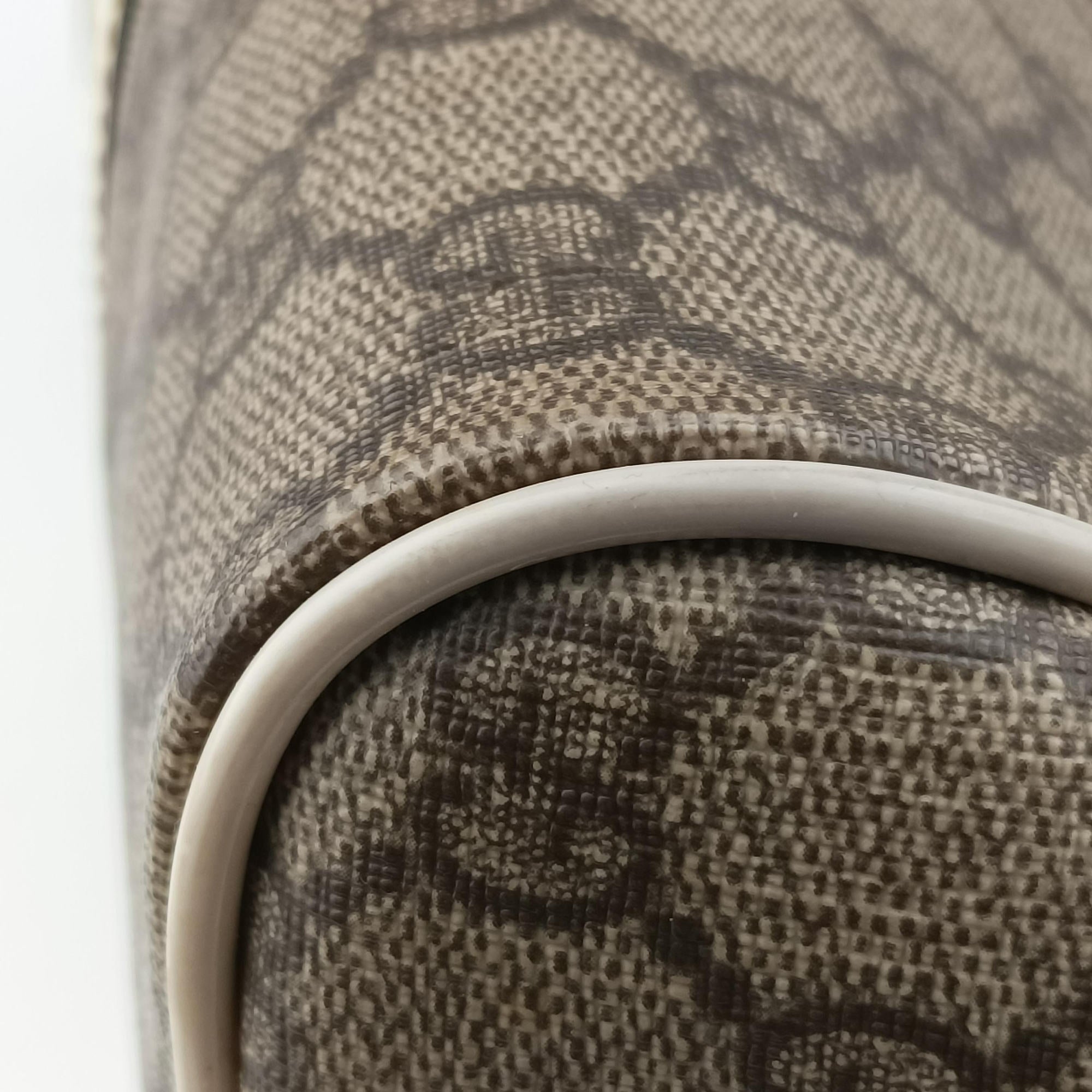 Secondhand Gucci GG plus Spring Joy GG Supreme BEIGE×WHITE PVC coated canvas 193603 handbag | stylenewstar