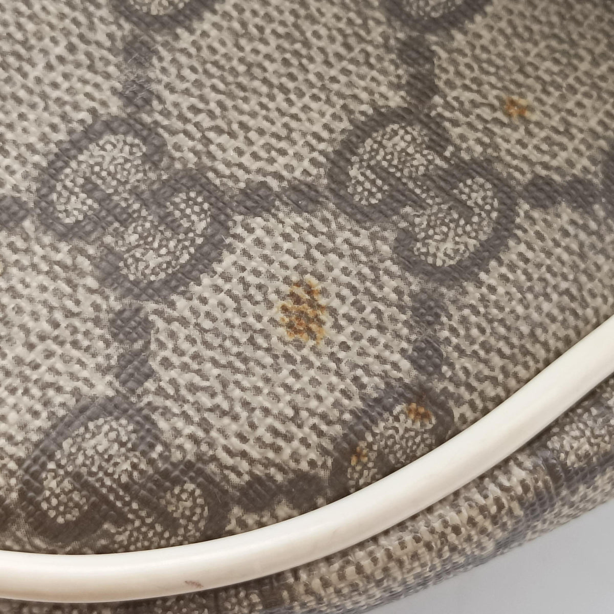 Secondhand Gucci GG plus Spring Joy GG Supreme BEIGE×WHITE PVC coated canvas 193603 handbag | stylenewstar