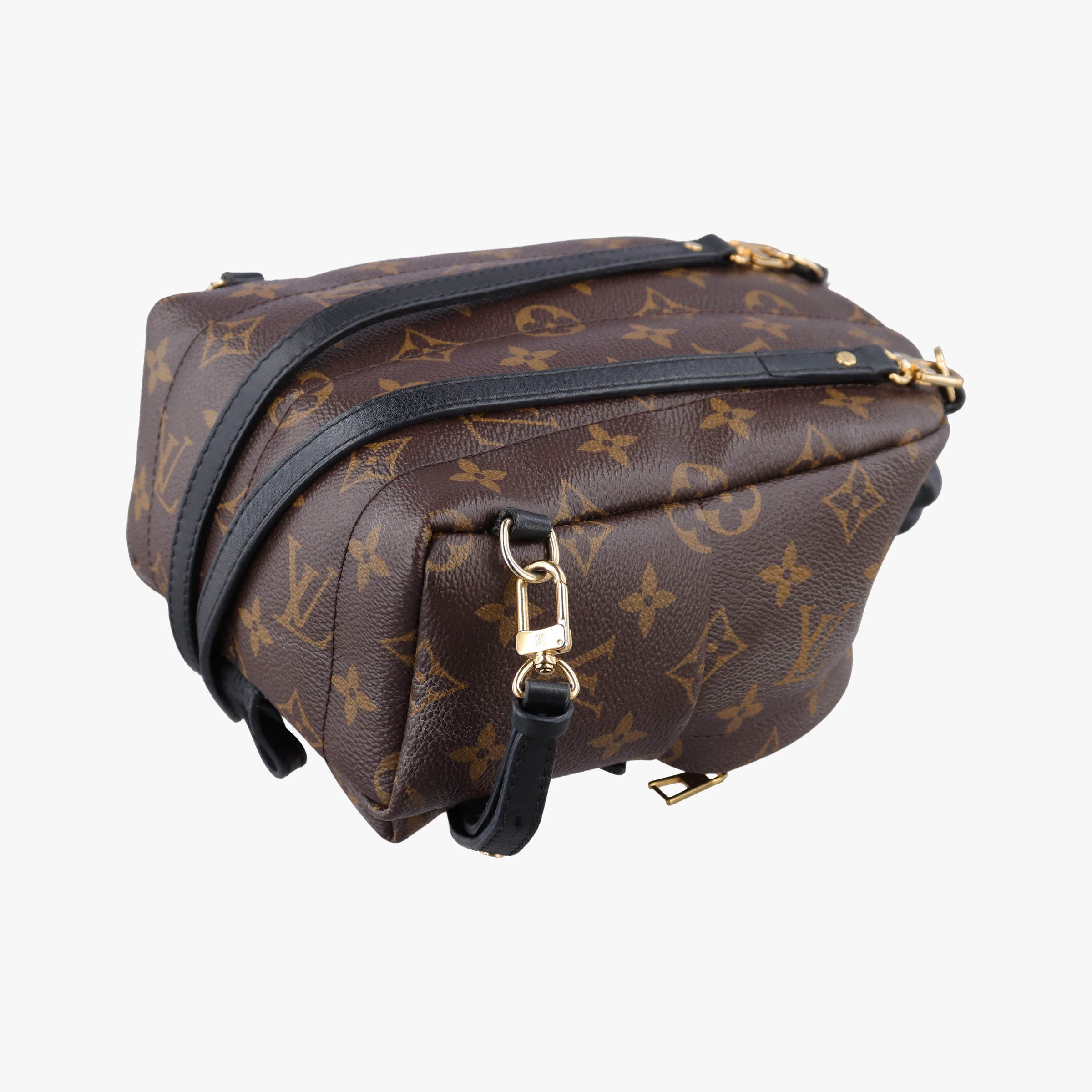 Vintage Louis Vuitton Palm Springs Backpack MINI Monogram x Noir Monogram Canvas M41562 backpack/rucksack | stylenewstar