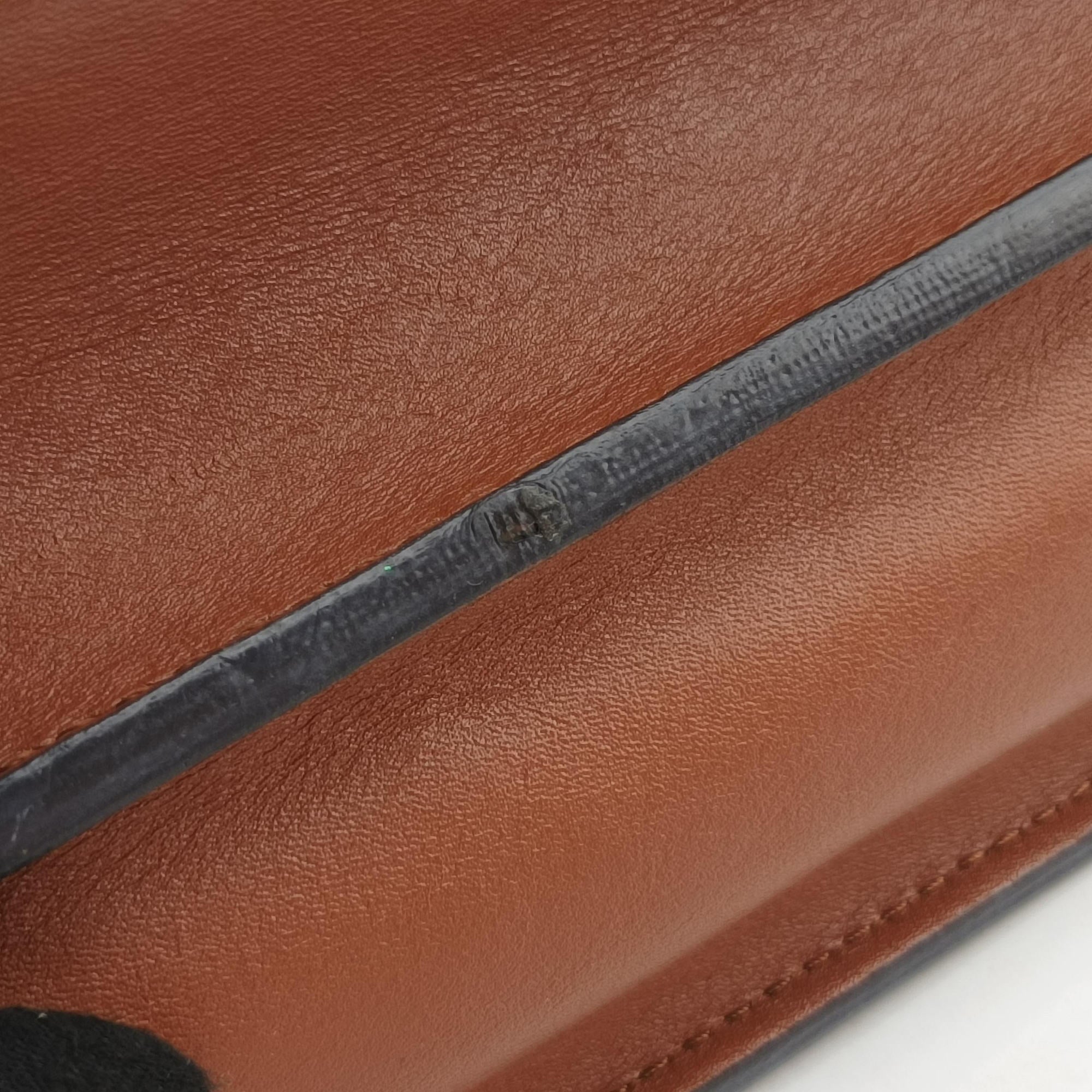 Pre-owned Louis Vuitton DAUPHINE MINI brown Monogram Reverse M45959 shoulderbag | stylenewstar