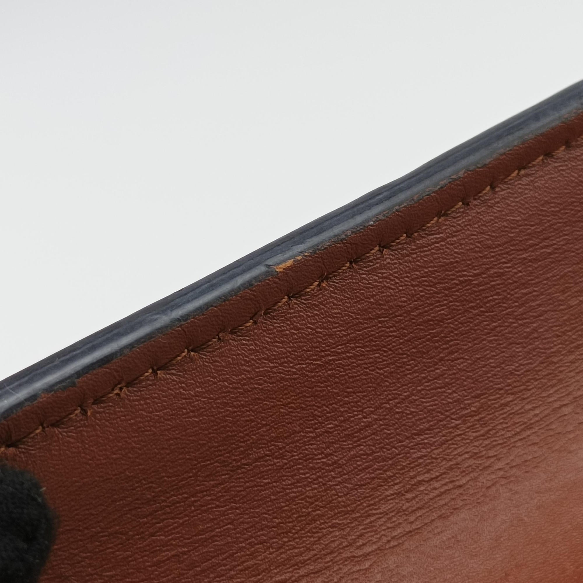 Pre-owned Louis Vuitton DAUPHINE MINI brown Monogram Reverse M45959 shoulderbag | stylenewstar