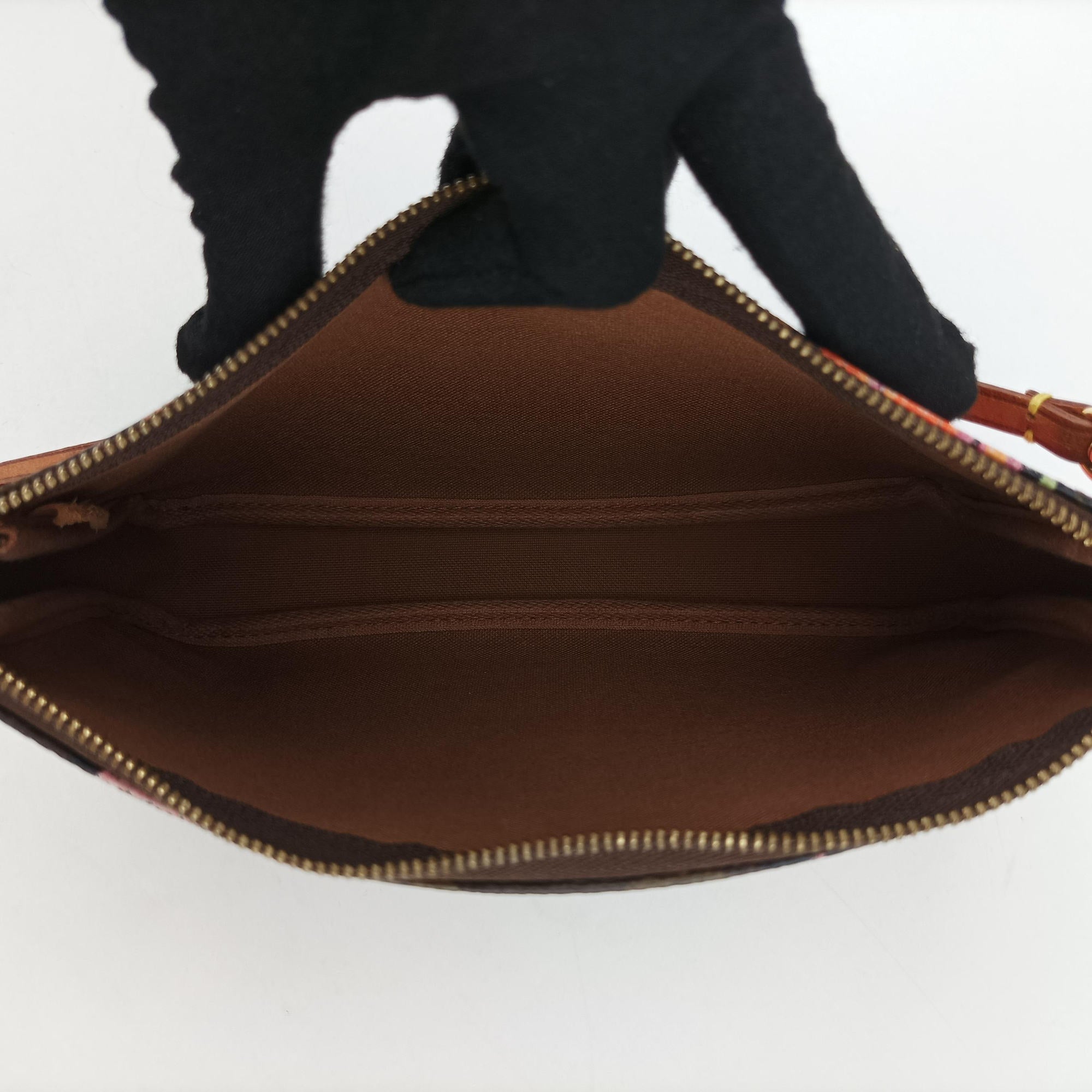 Secondhand Louis Vuitton Pochette Accessoires brown×multi Monogram Canvas M48615 handbag | stylenewstar