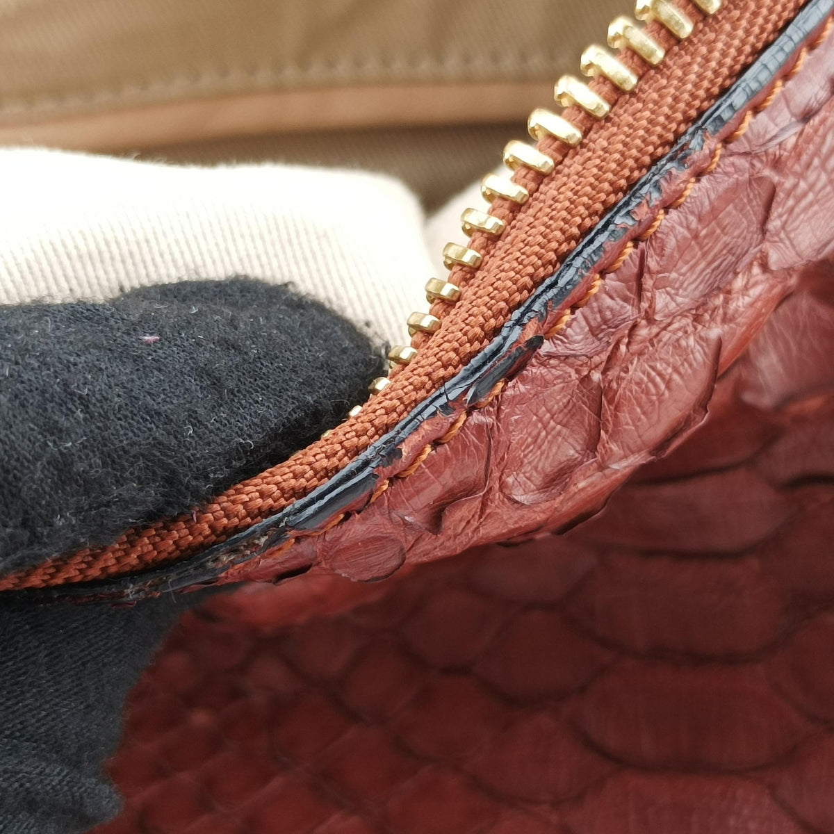 Pre-owned Chloe Paraty Burgundy Snakeskin  shoulderbag | stylenewstar