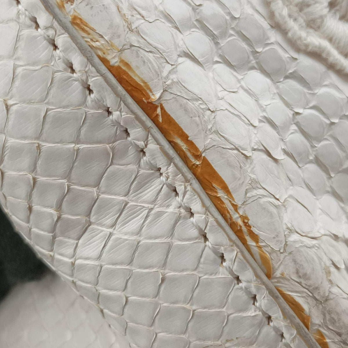 Pre-owned Dolce & Gabbana Sicily White Snakeskin x PVC  shoulderbag | stylenewstar