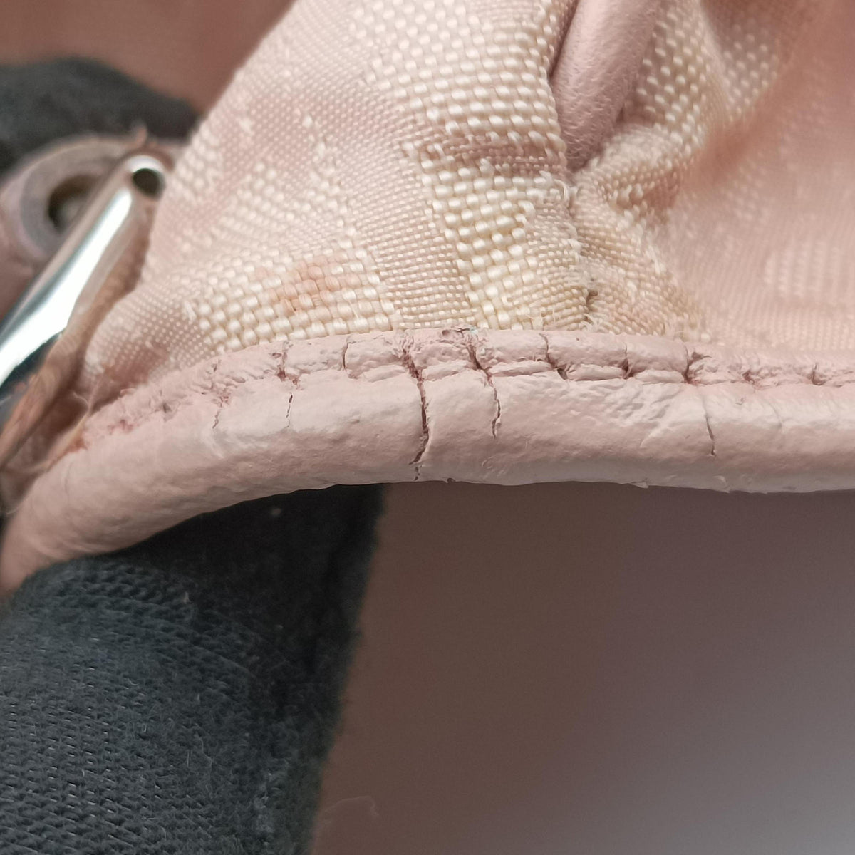 Pre-owned Christian Dior Lovely Pink Canvas × Leather  handbag | stylenewstar