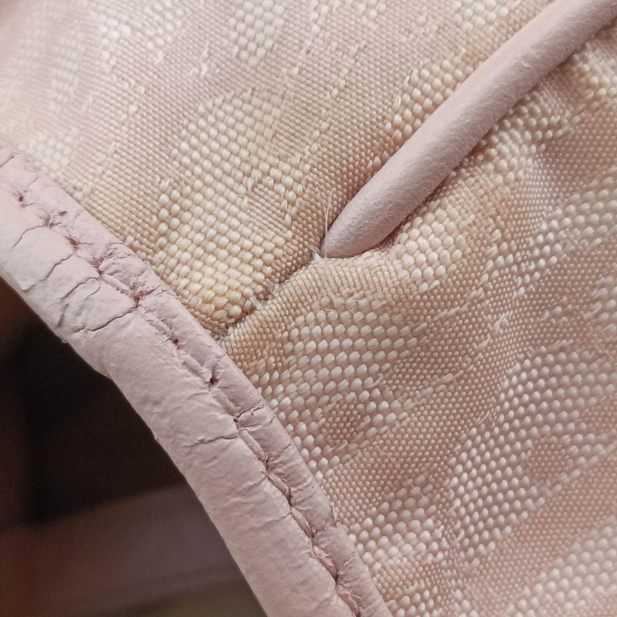 Pre-owned Christian Dior Lovely Pink Canvas × Leather  handbag | stylenewstar