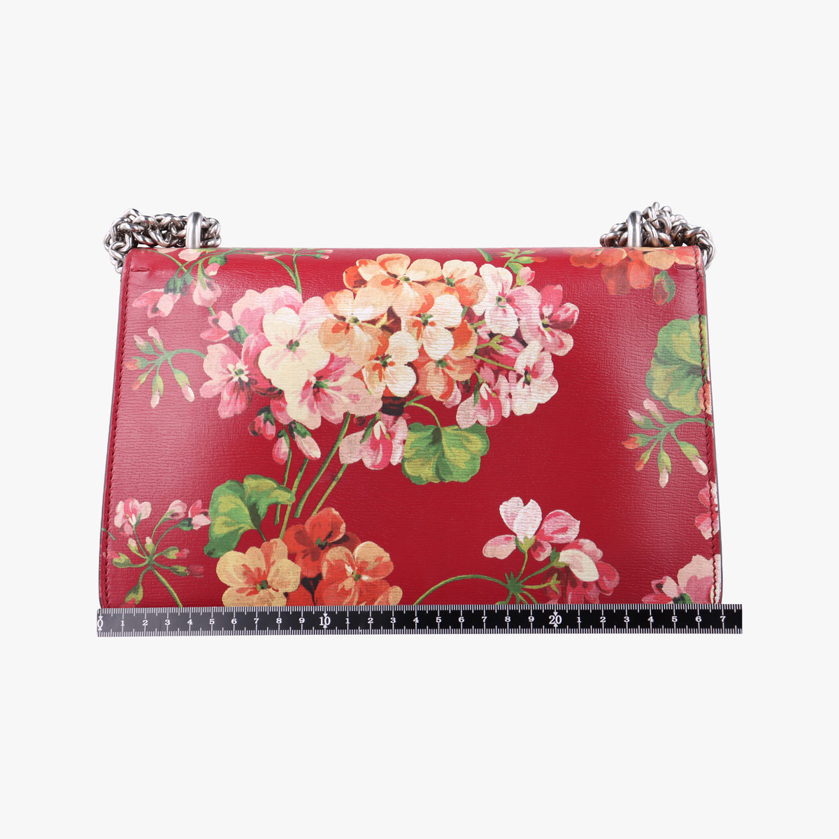 Secondhand Gucci Dionysus Red×Multicolour Leather 400249 shoulderbag | stylenewstar