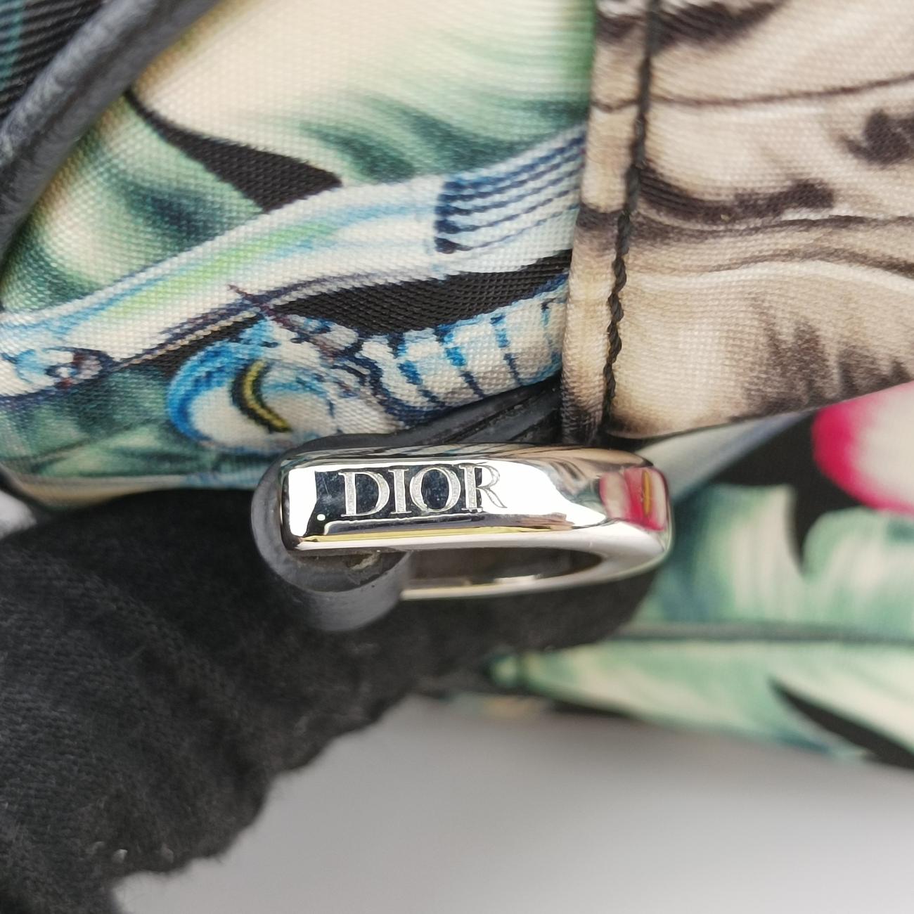 Pre-owned Christian Dior Sorayama Roller Messenger Printed Multicolour canvas  shoulderbag | stylenewstar