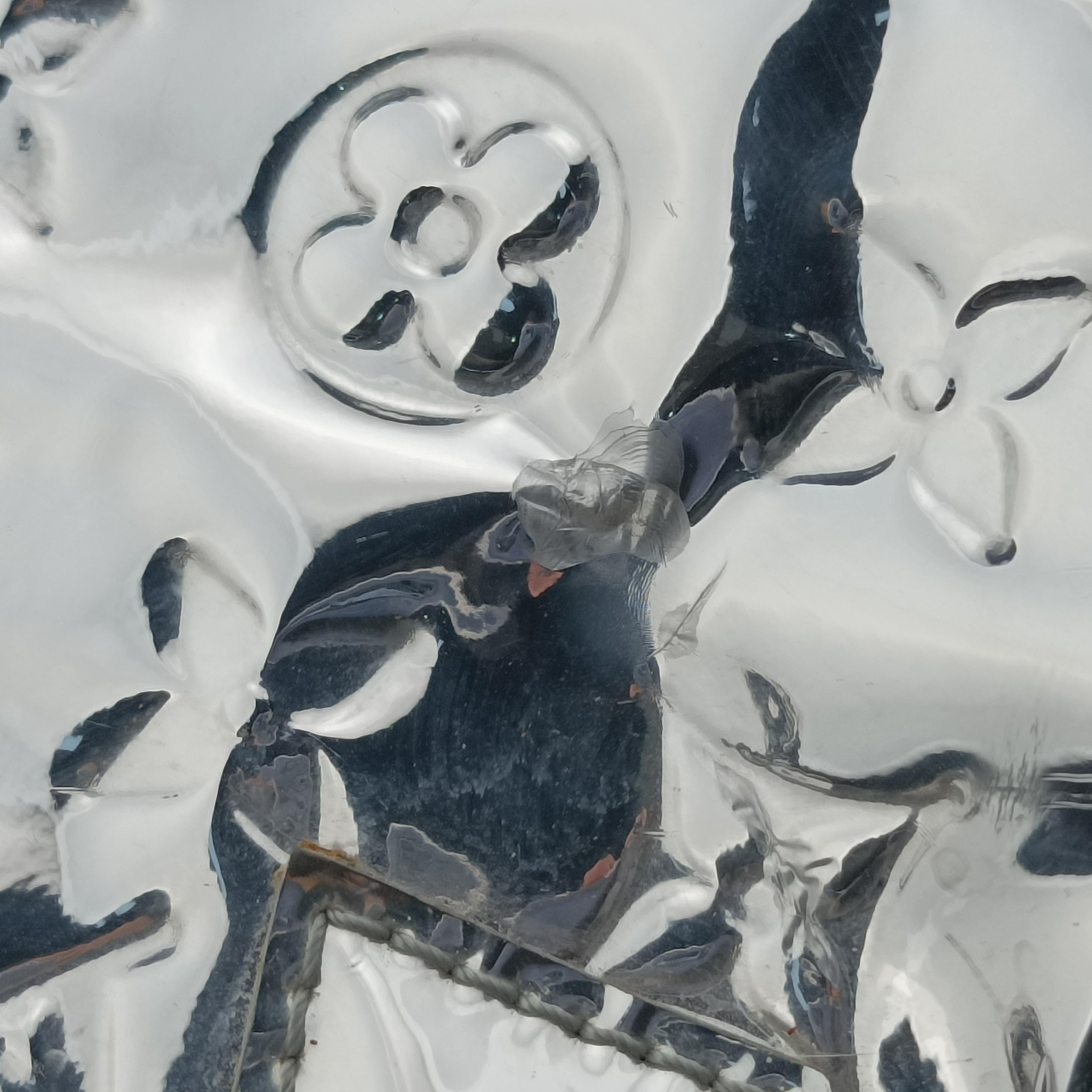 Secondhand Louis Vuitton Speedy 30 Silver Monogram Miroir M95271 handbag | stylenewstar
