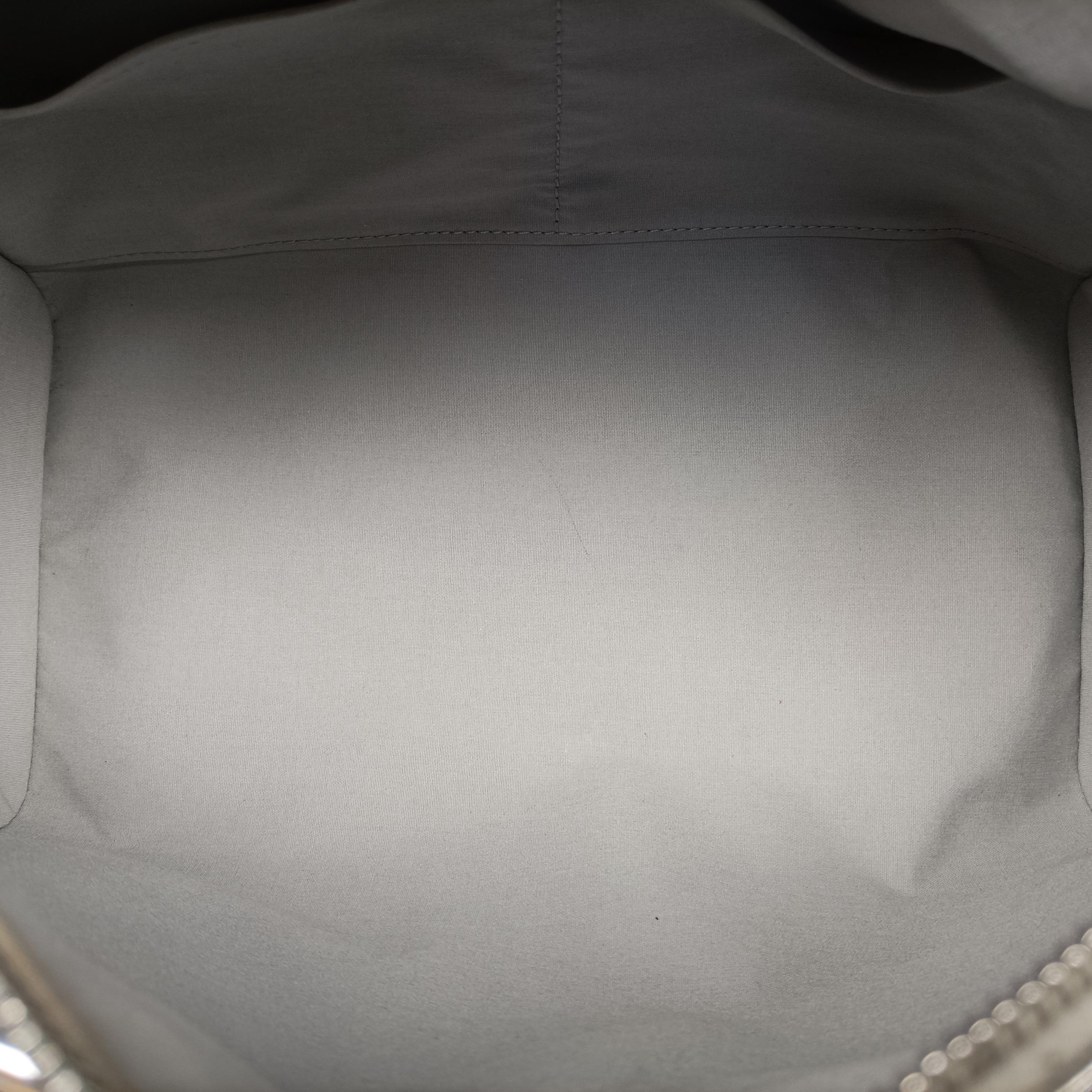 Secondhand Louis Vuitton Speedy 30 Silver Monogram Miroir M95271 handbag | stylenewstar