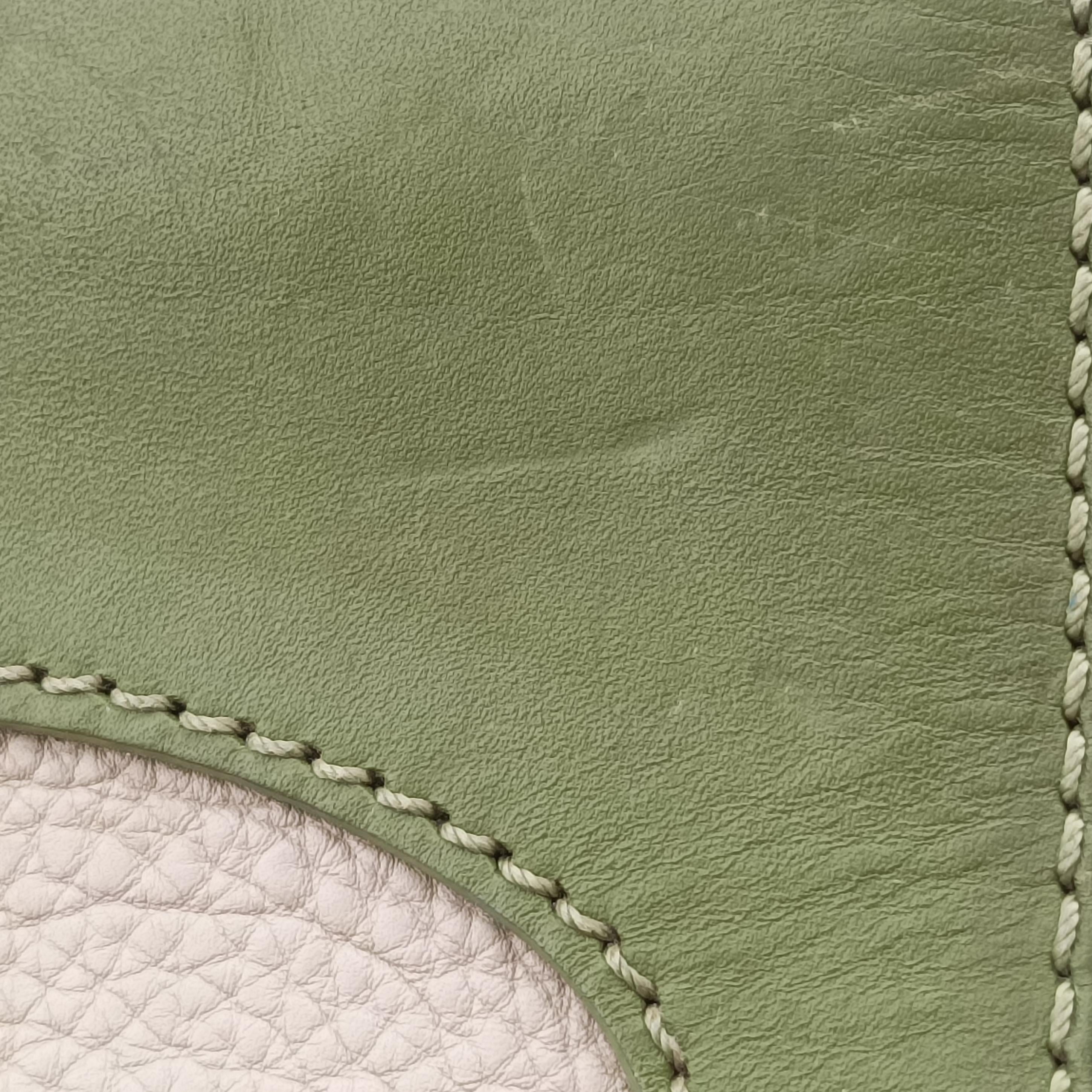 Pre-owned Fendi SILVANA Green×Multicolour Leather 8BN234 shoulderbag | stylenewstar