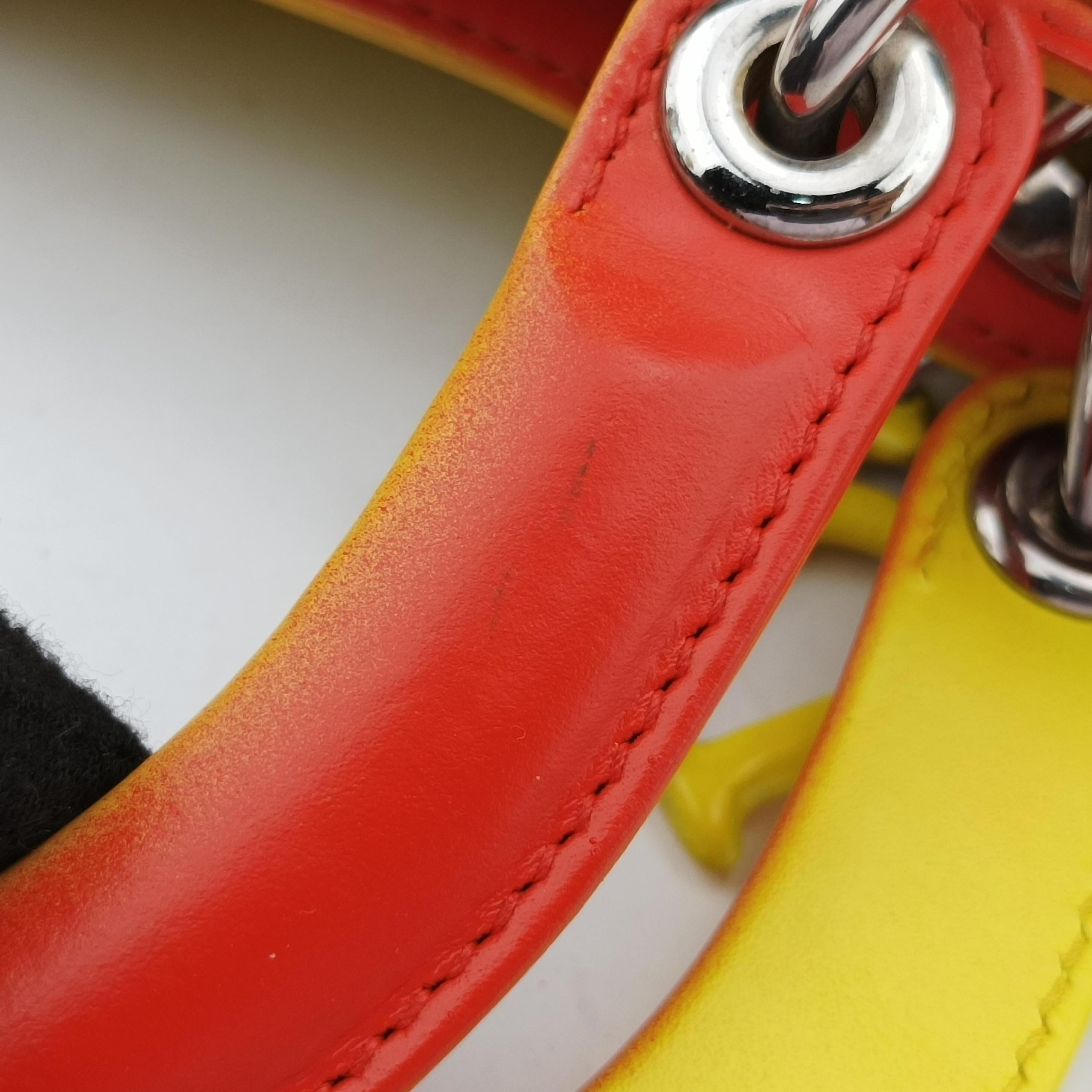Secondhand Christian Dior Lady Dior Red x Yellow leather  shoulderbag | stylenewstar