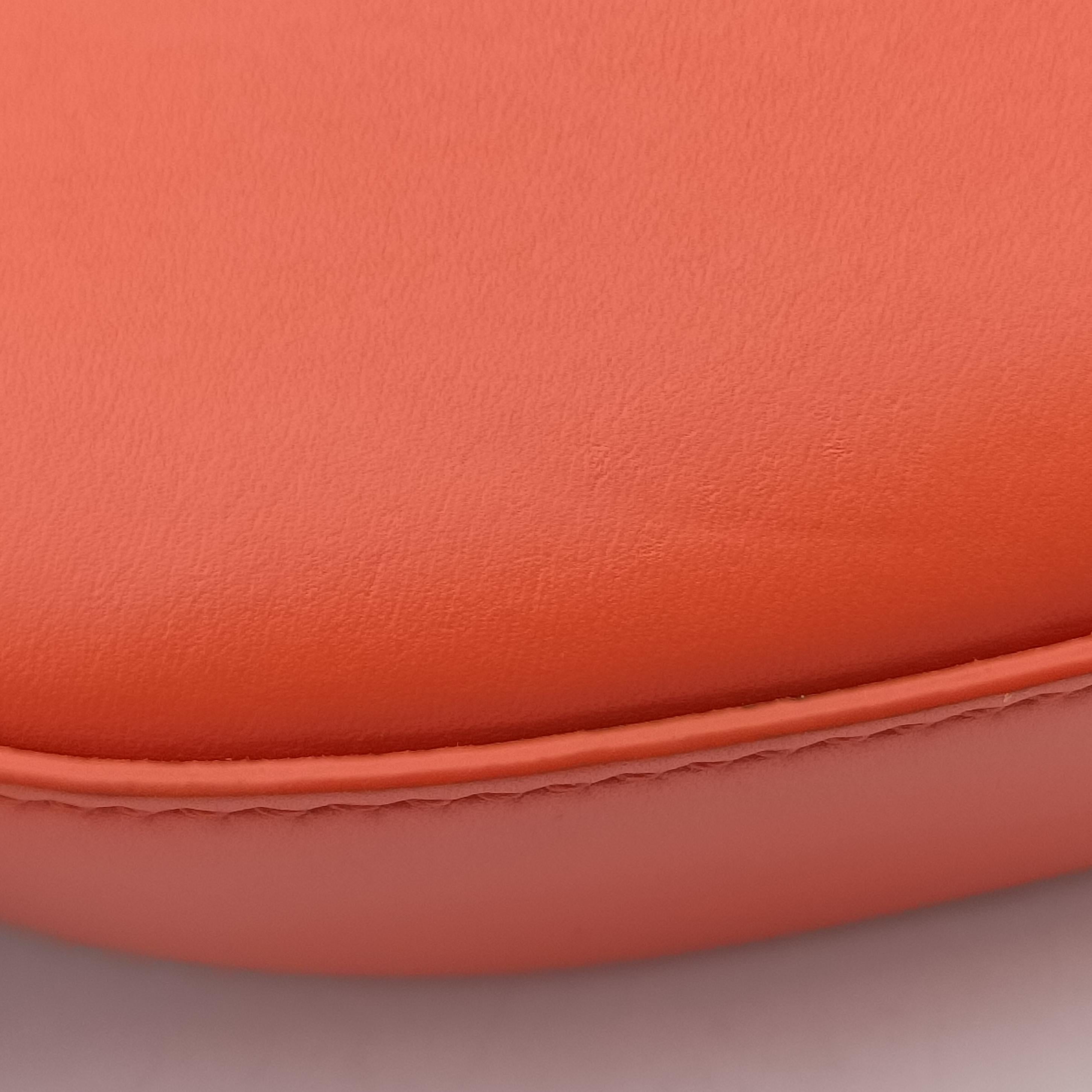 Pre-owned Loewe Luna Orange leather  shoulderbag | stylenewstar