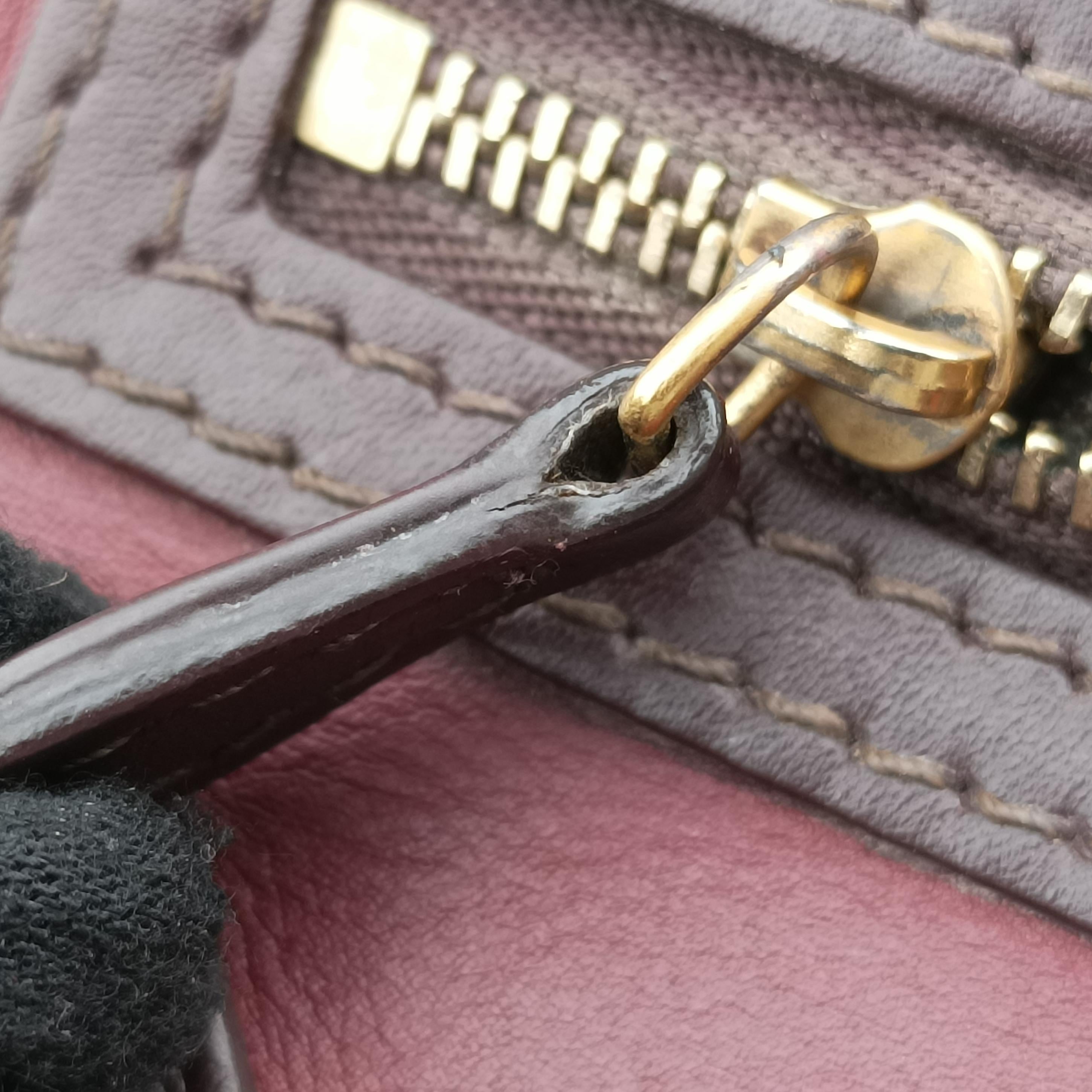 Pre-owned Celine luggage nano shopper Black× burgundy ×Brown Leather  handbag | stylenewstar