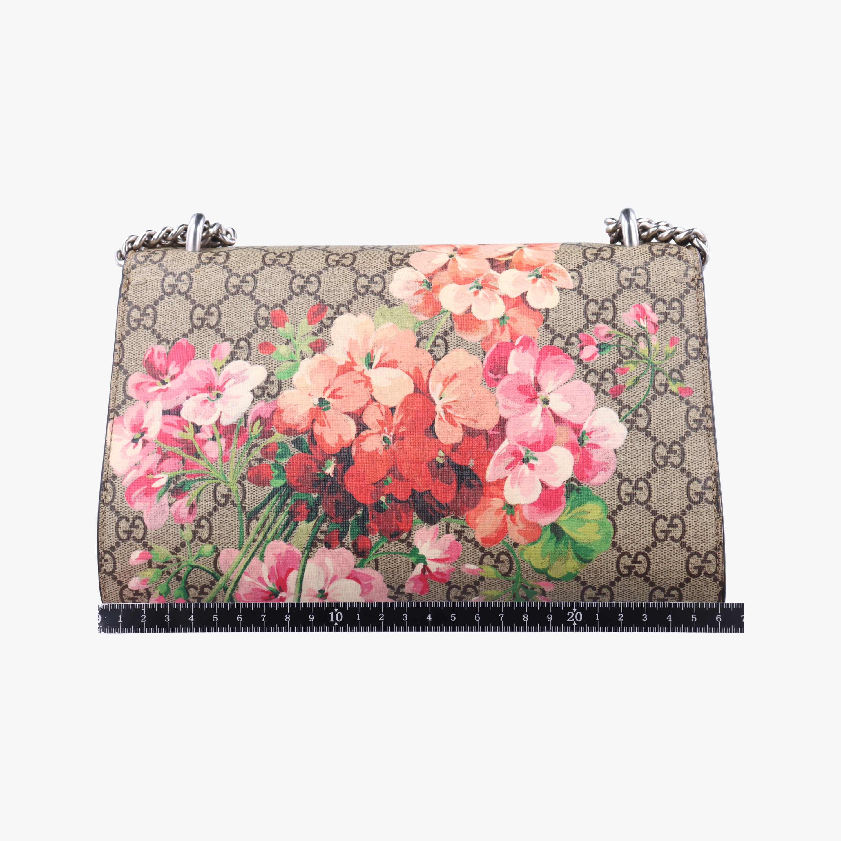 Pre-owned Gucci Dionysus beige×red×Multicolour PVC coated canvas 400249 shoulderbag | stylenewstar