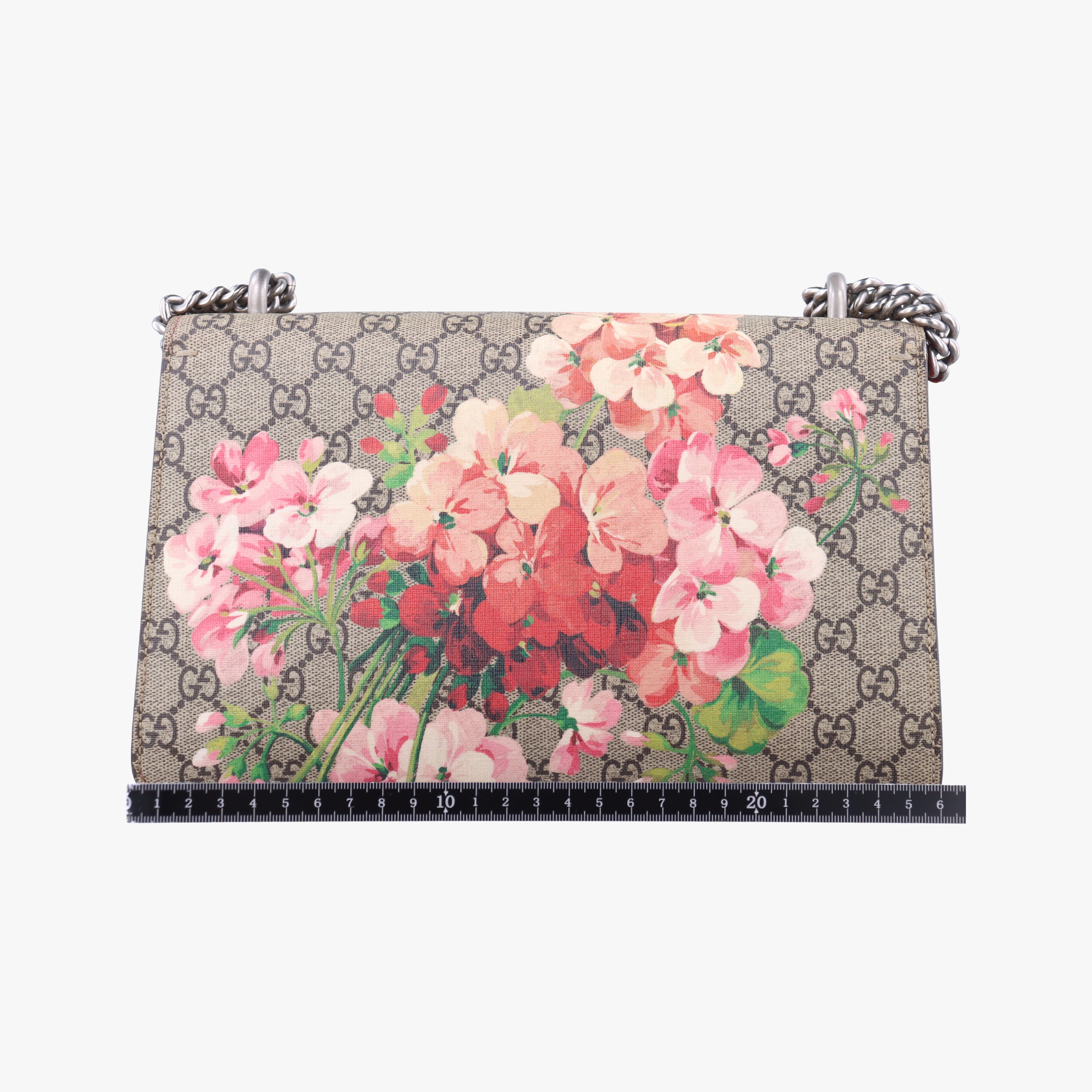 Secondhand Gucci Dionysus Beige x Red x Multicolor PVC coated canvas 400249 shoulderbag | stylenewstar