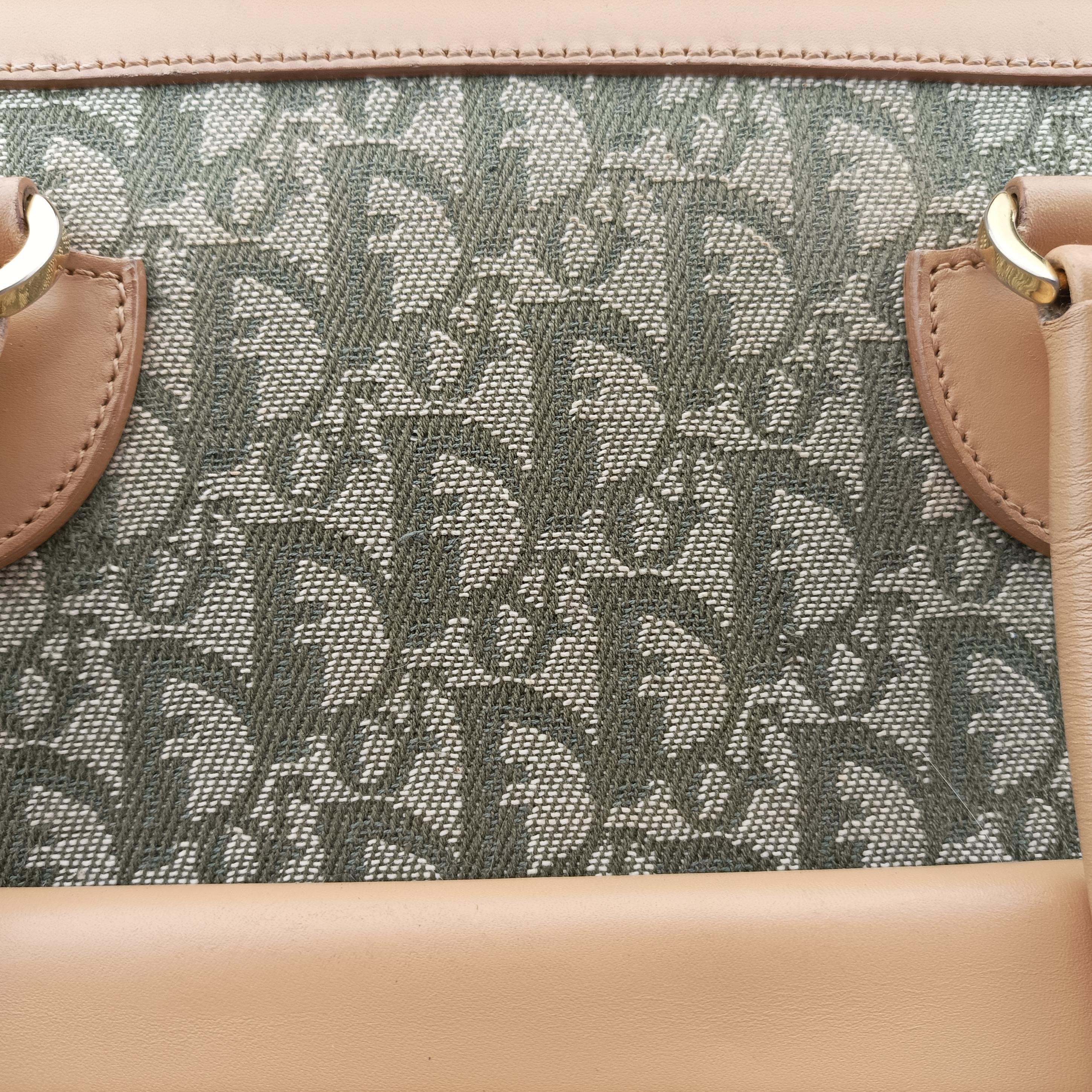 Pre-owned Christian Dior Trotter beige×Green canvas×leather  handbag | stylenewstar