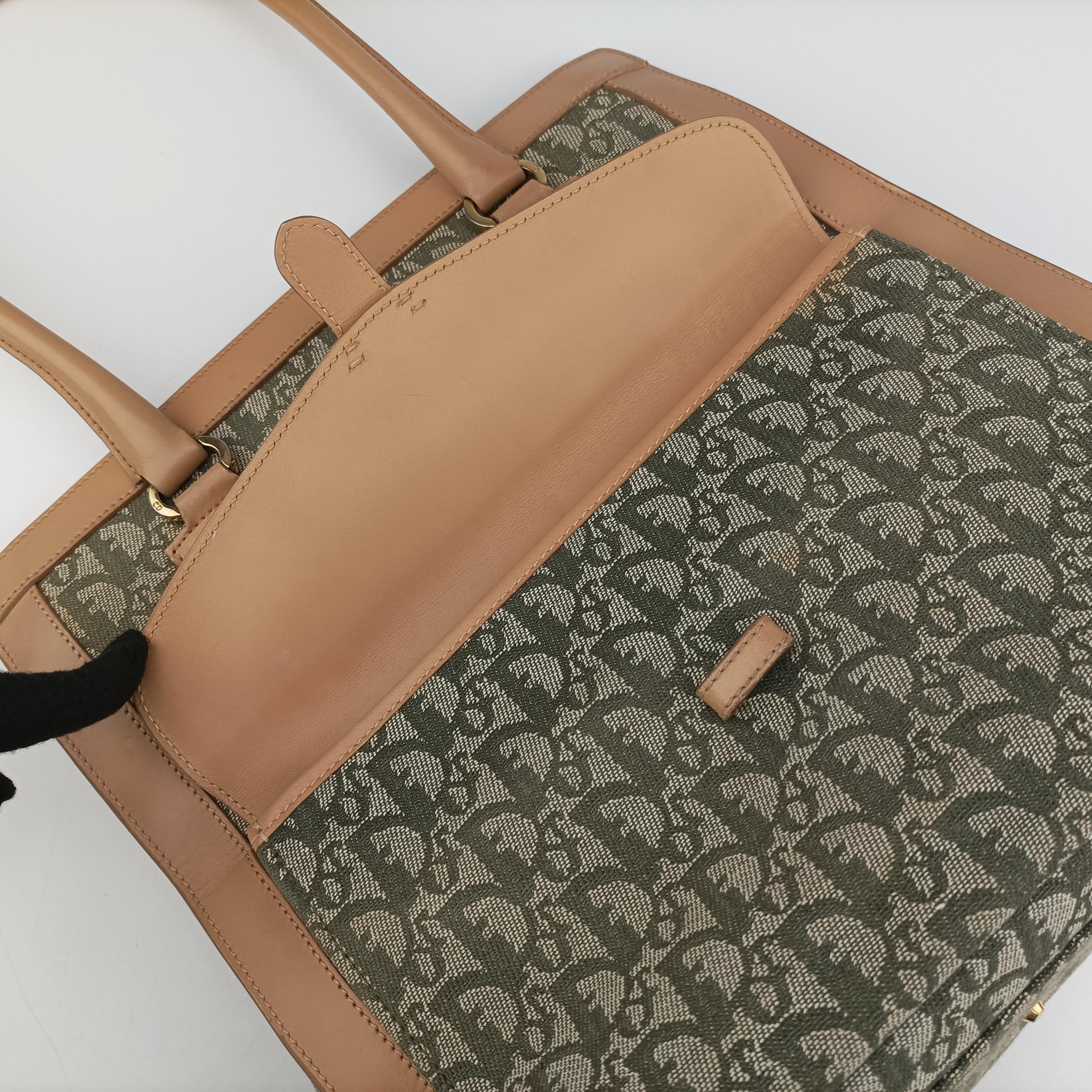 Pre-owned Christian Dior Trotter beige×Green canvas×leather  handbag | stylenewstar