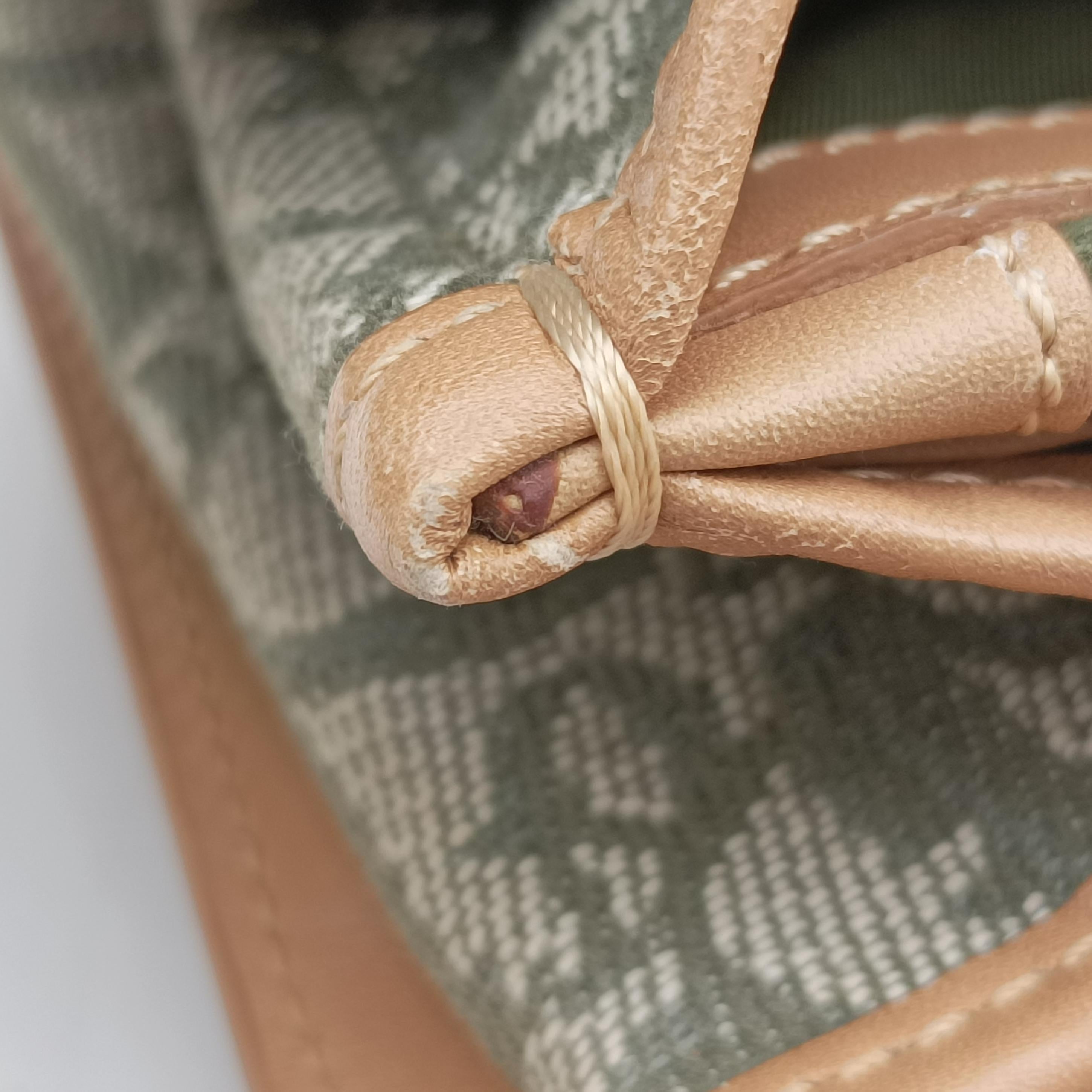 Pre-owned Christian Dior Trotter beige×Green canvas×leather  handbag | stylenewstar