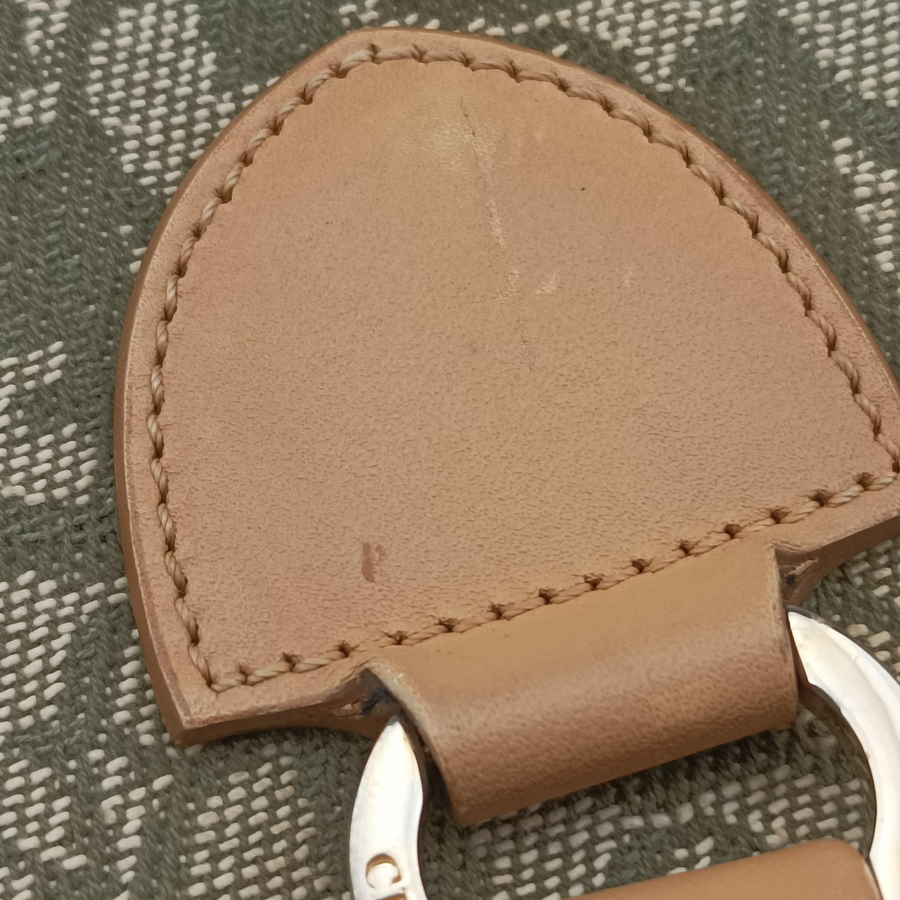 Pre-owned Christian Dior Trotter beige×Green canvas×leather  handbag | stylenewstar