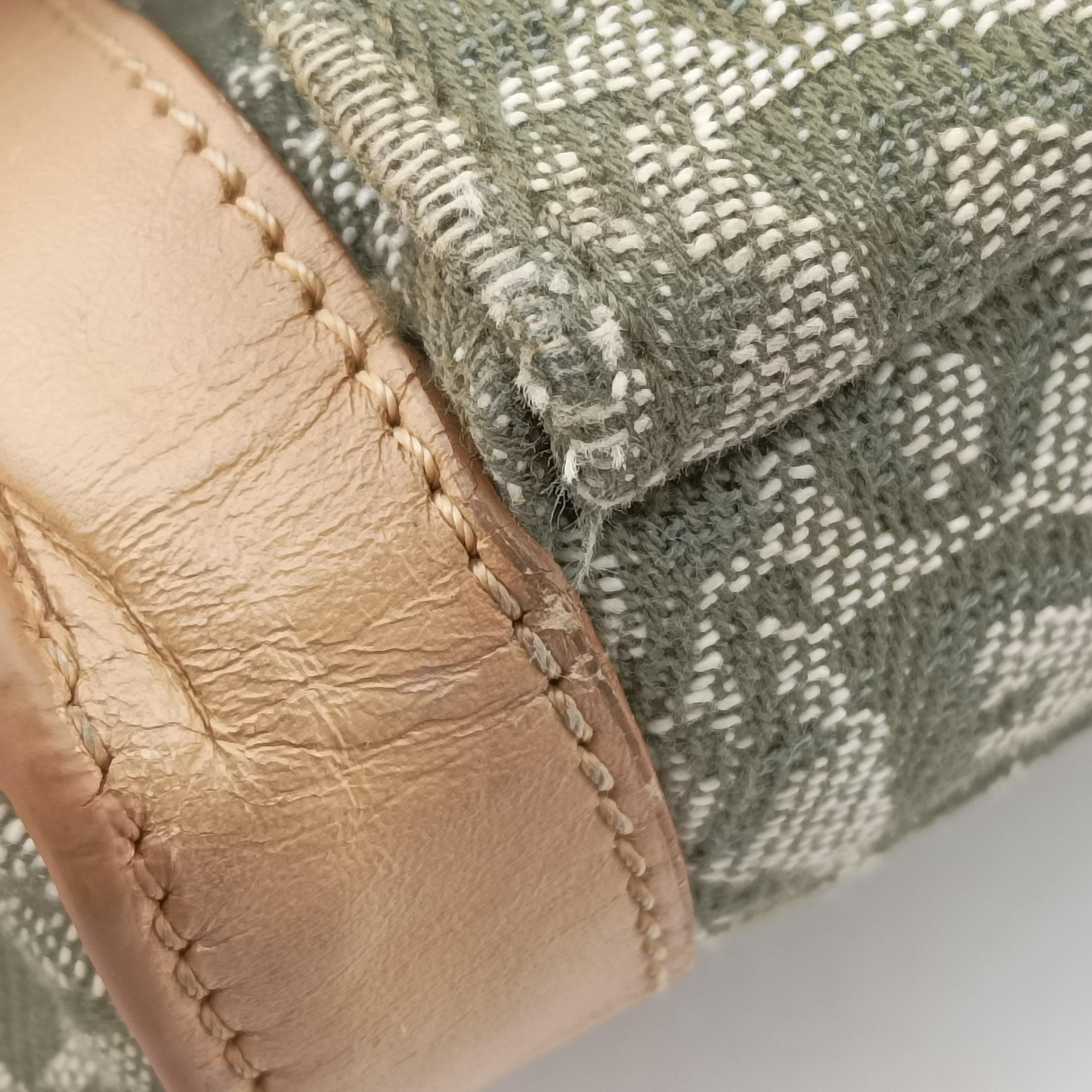 Pre-owned Christian Dior Trotter beige×Green canvas×leather  handbag | stylenewstar