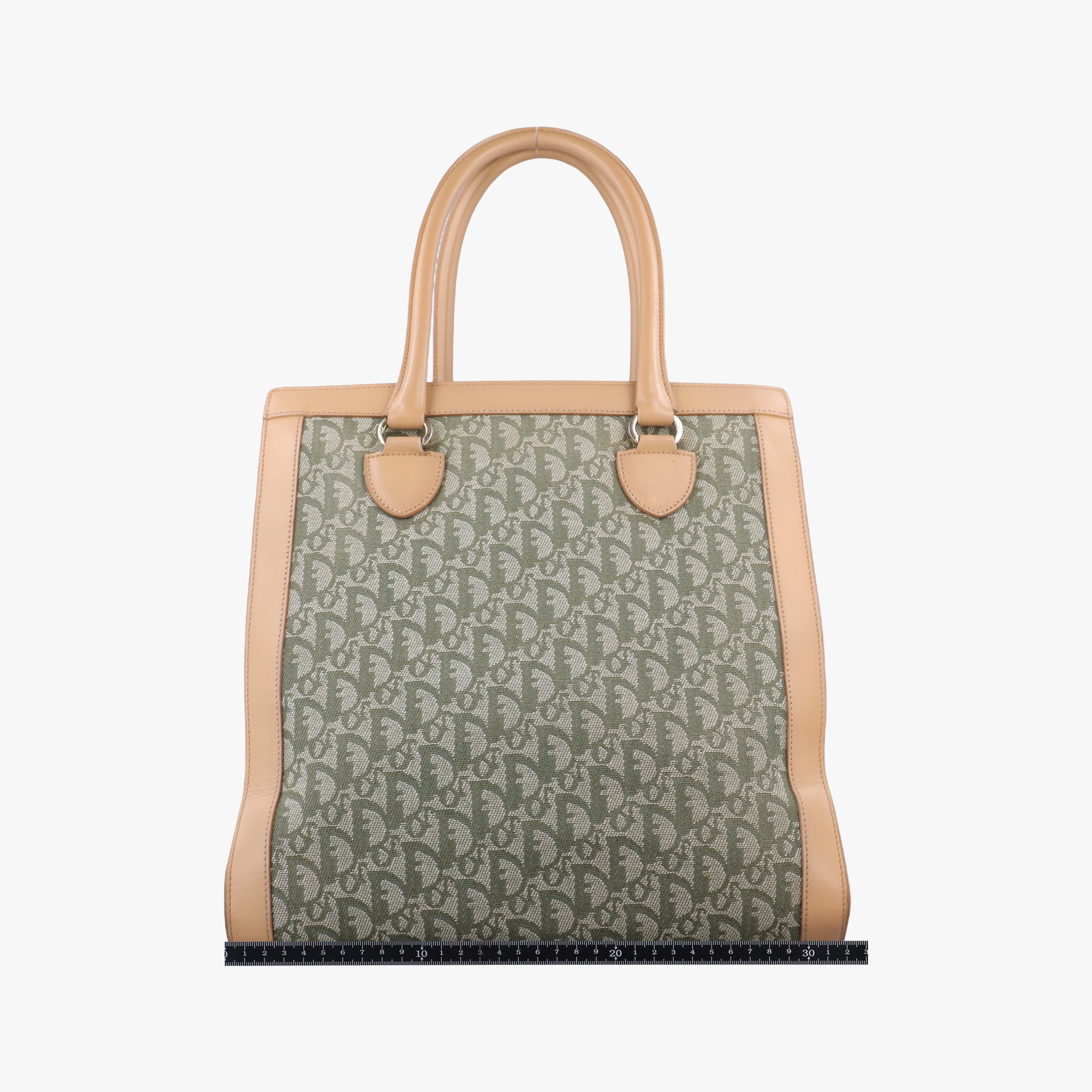 Pre-owned Christian Dior Trotter beige×Green canvas×leather  handbag | stylenewstar
