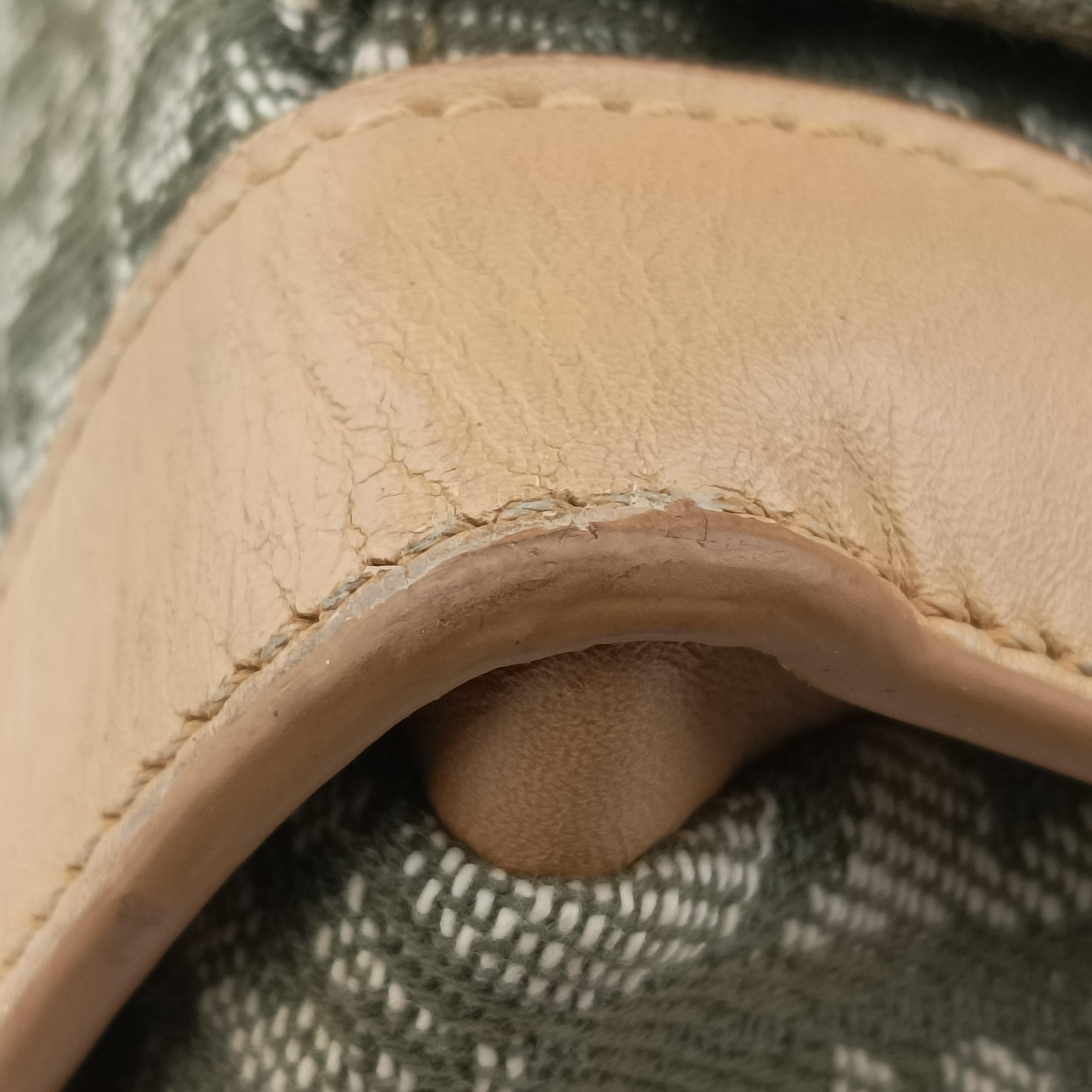 Pre-owned Christian Dior Trotter beige×Green canvas×leather  handbag | stylenewstar