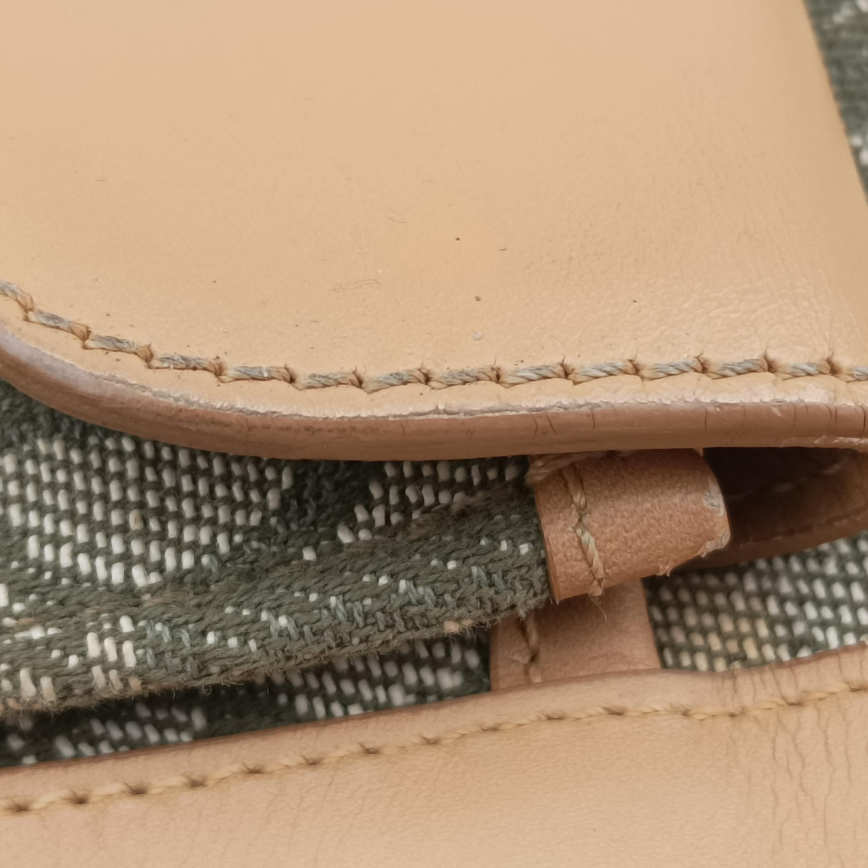 Pre-owned Christian Dior Trotter beige×Green canvas×leather  handbag | stylenewstar