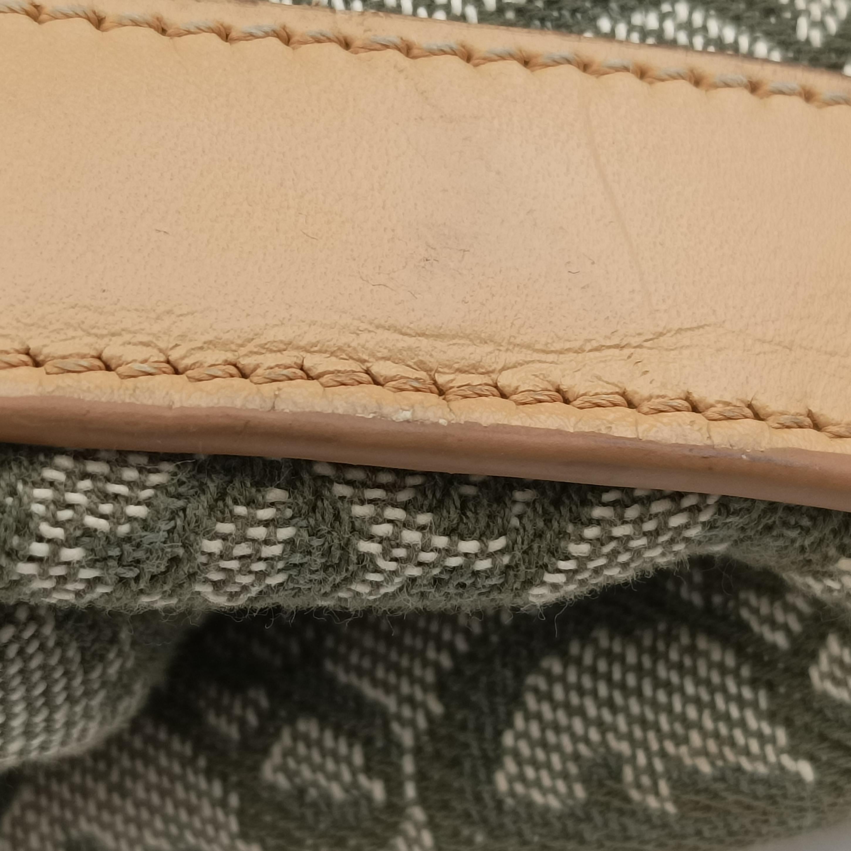 Pre-owned Christian Dior Trotter beige×Green canvas×leather  handbag | stylenewstar