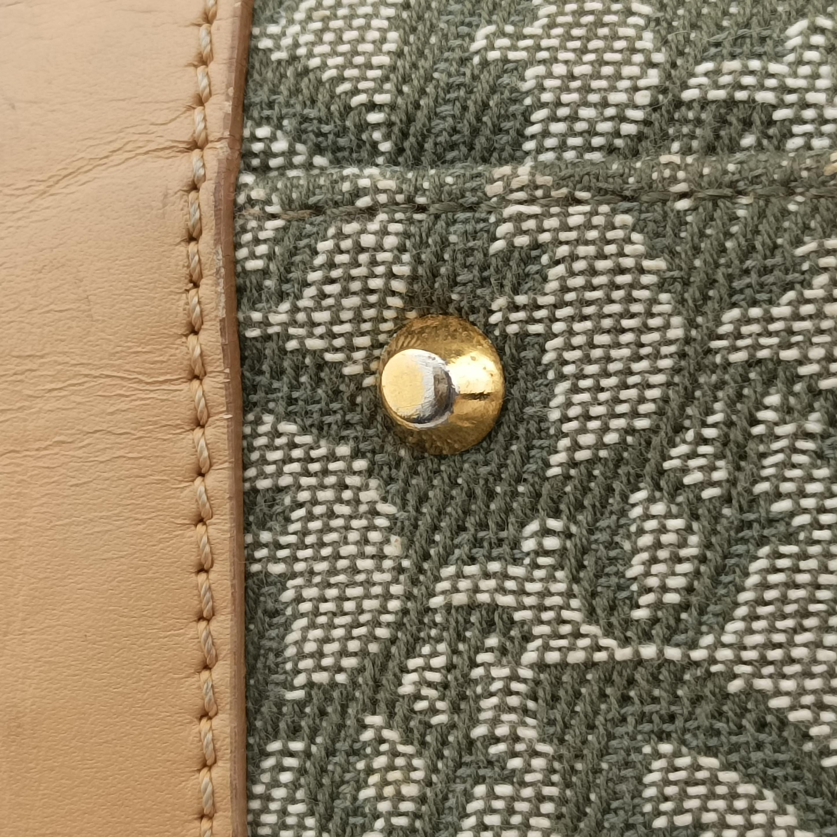 Pre-owned Christian Dior Trotter beige×Green canvas×leather  handbag | stylenewstar