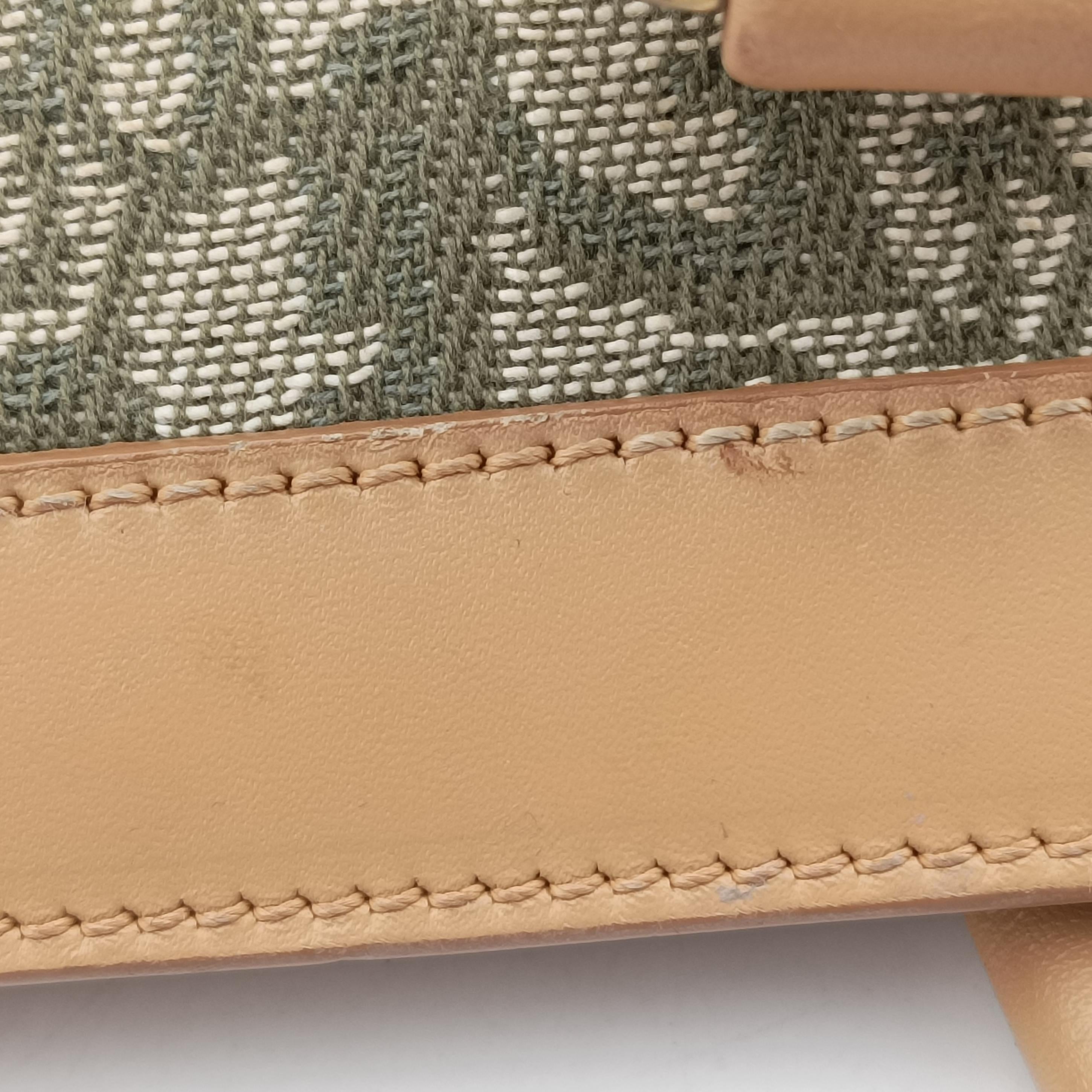 Pre-owned Christian Dior Trotter beige×Green canvas×leather  handbag | stylenewstar