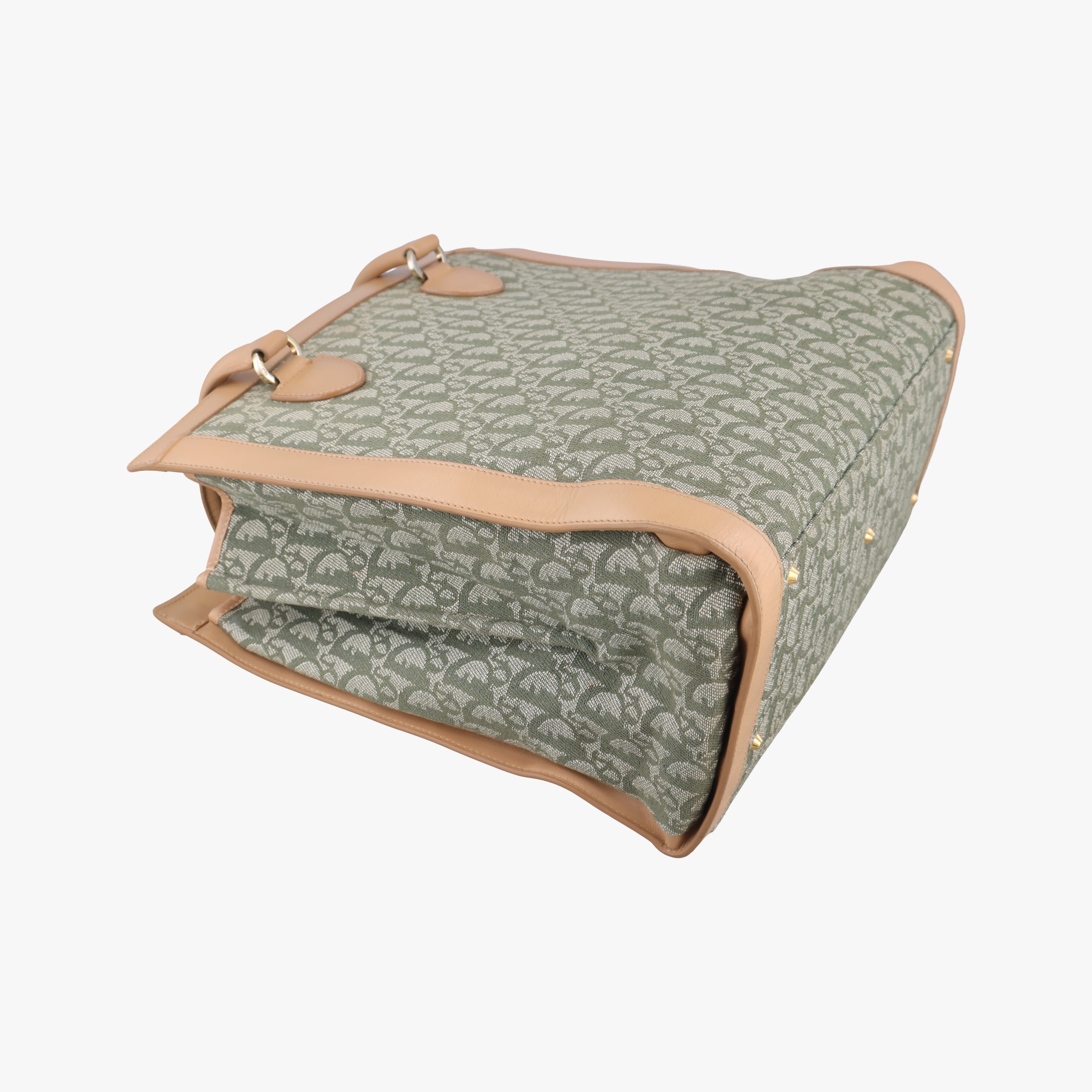 Pre-owned Christian Dior Trotter beige×Green canvas×leather  handbag | stylenewstar