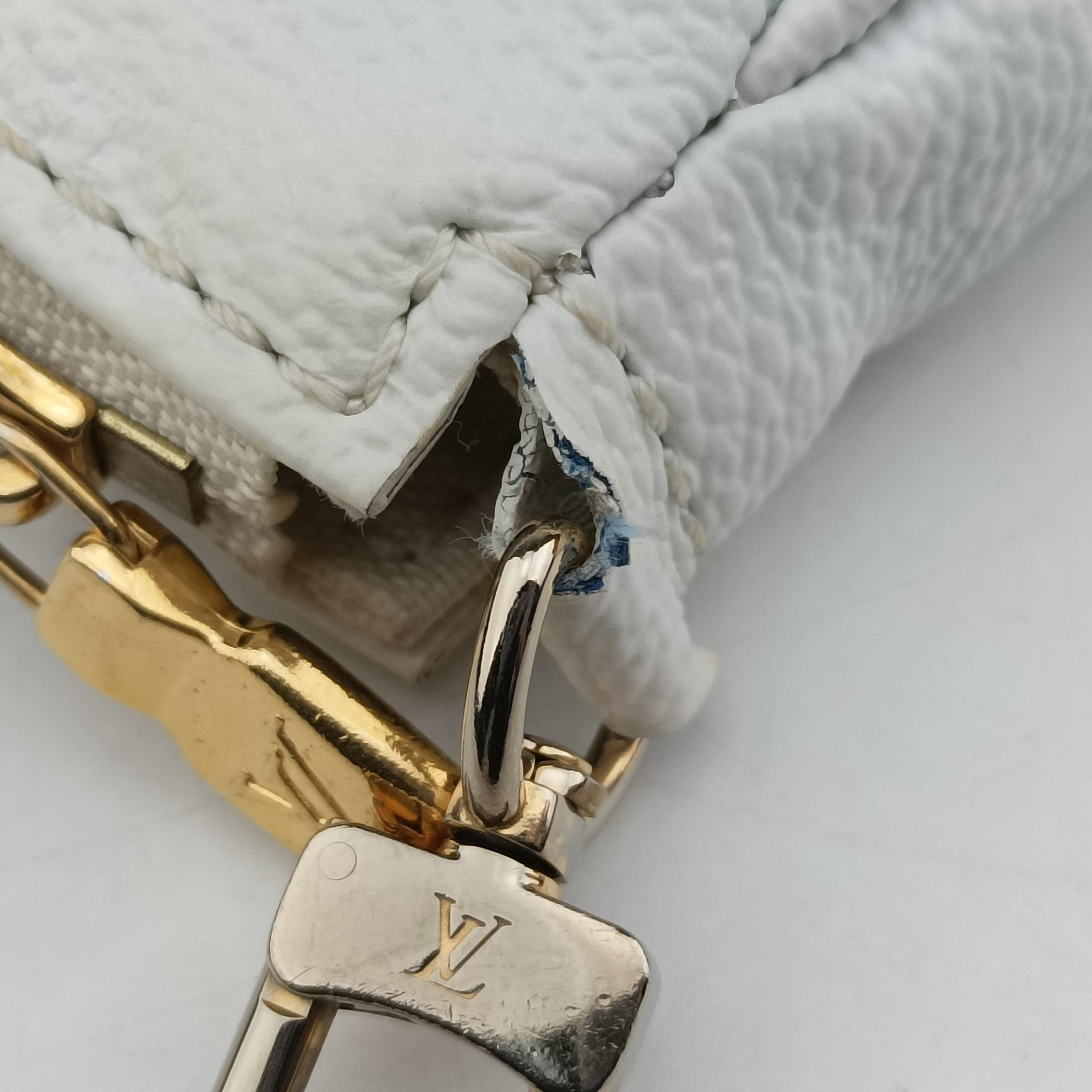 Pre-owned Louis Vuitton MULTI POCHETTE ACCESSOIRES Blue Gradient Monogram Giant M57633 shoulderbag | stylenewstar