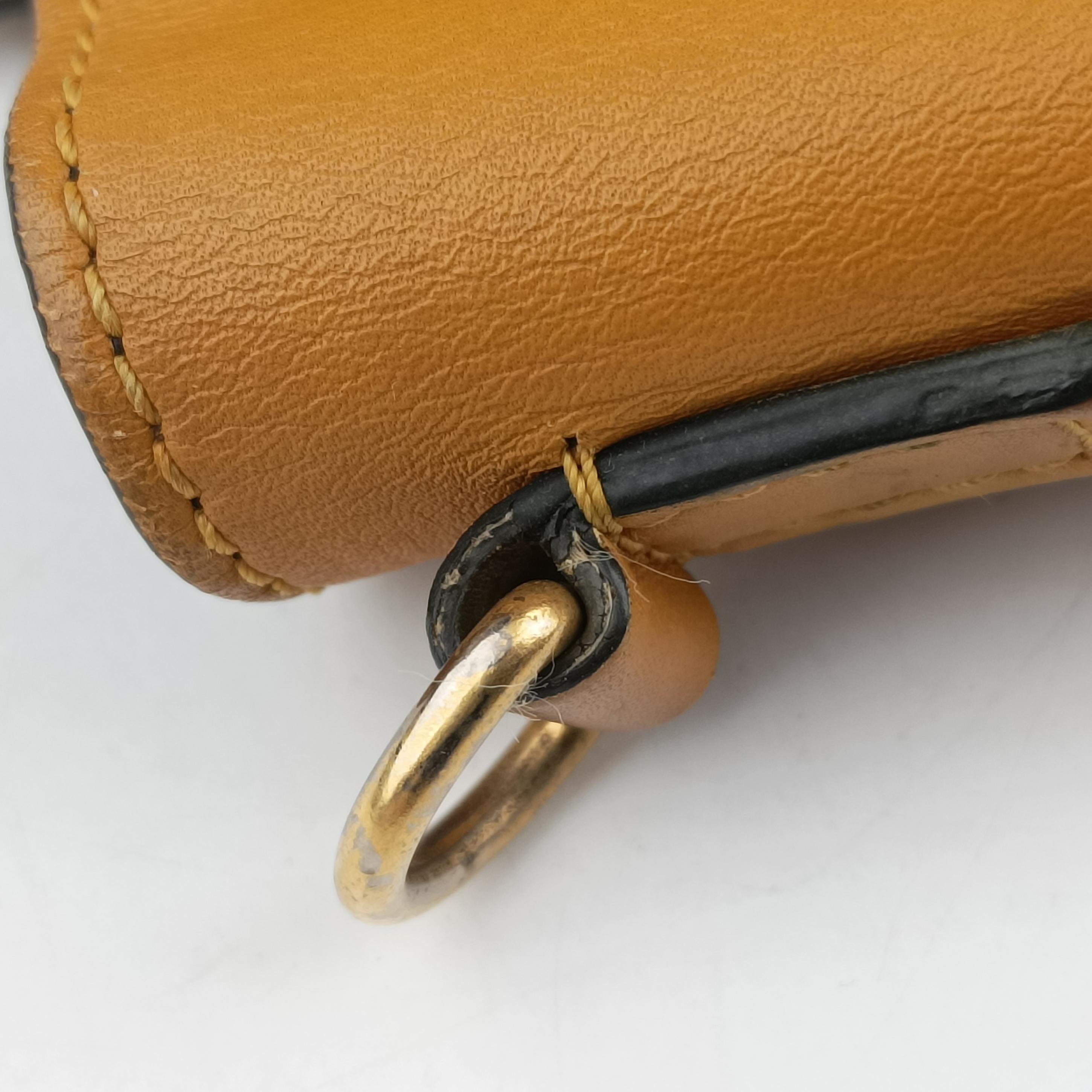 Secondhand Celine luggage nano shopper Yellow×black Leather  shoulderbag | stylenewstar
