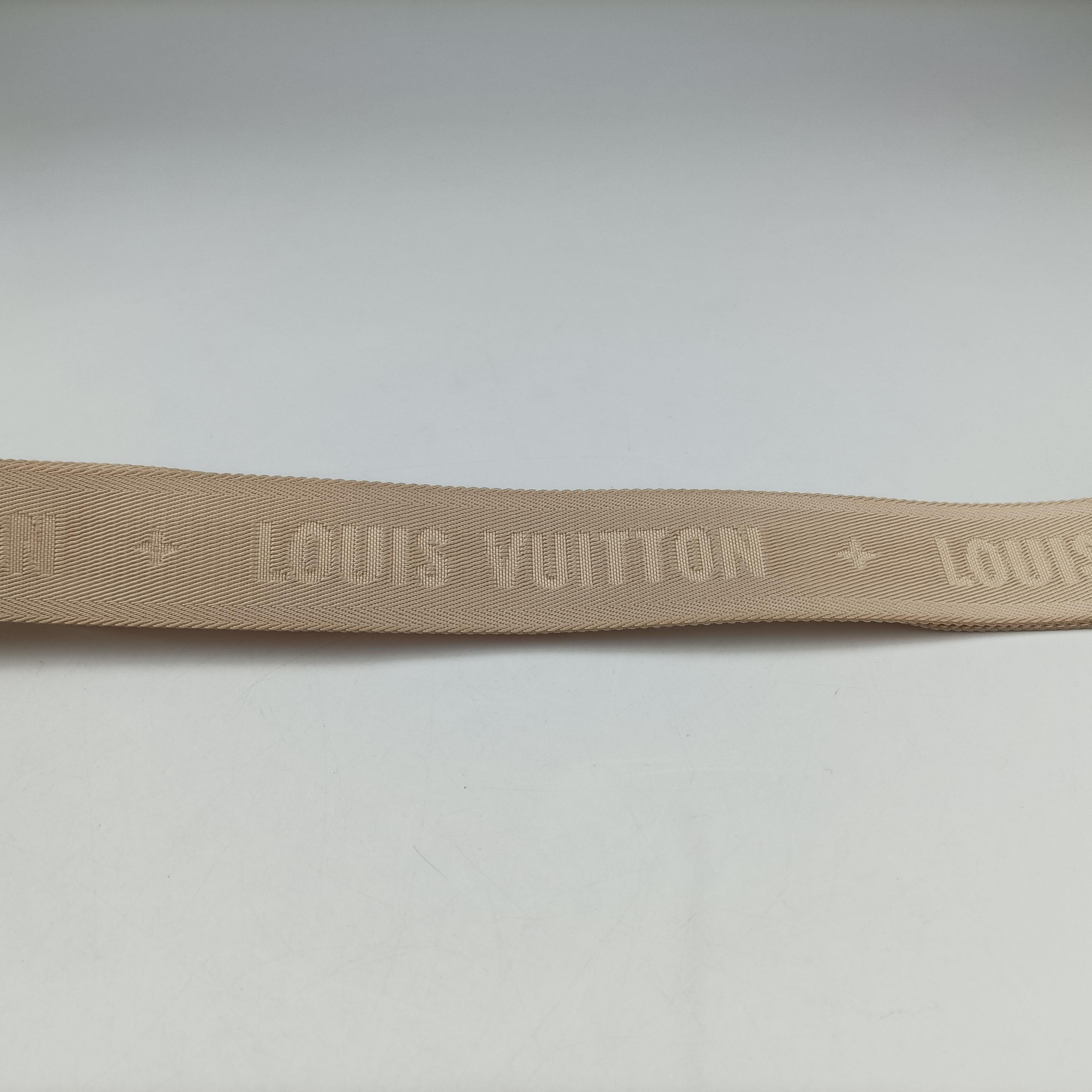 Pre-owned Louis Vuitton MULTI POCHETTE ACCESSOIRES Brume Monogram Giant M57634 shoulderbag | stylenewstar