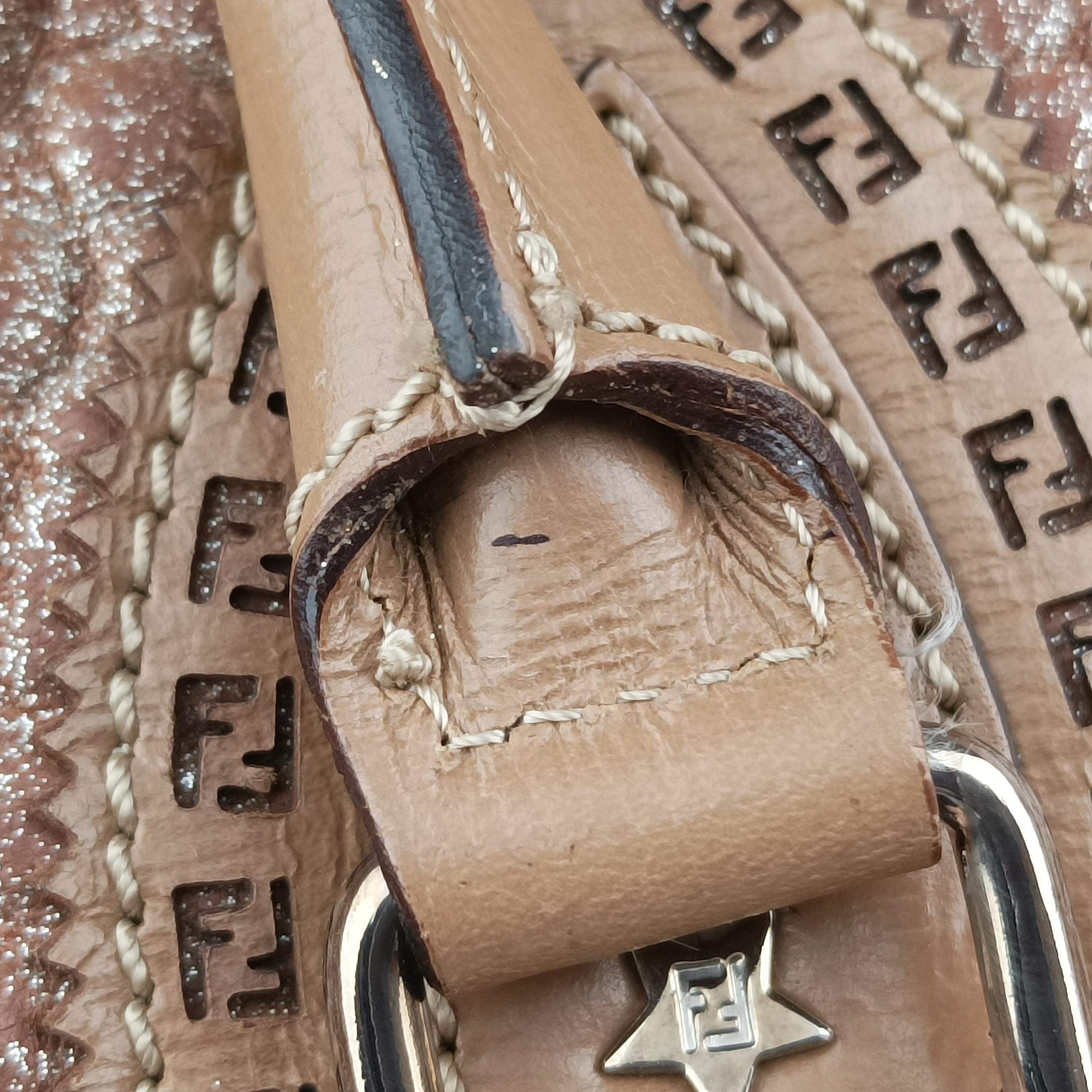 Pre-owned Fendi Etniko Brown Leather 8BN162 handbag | stylenewstar