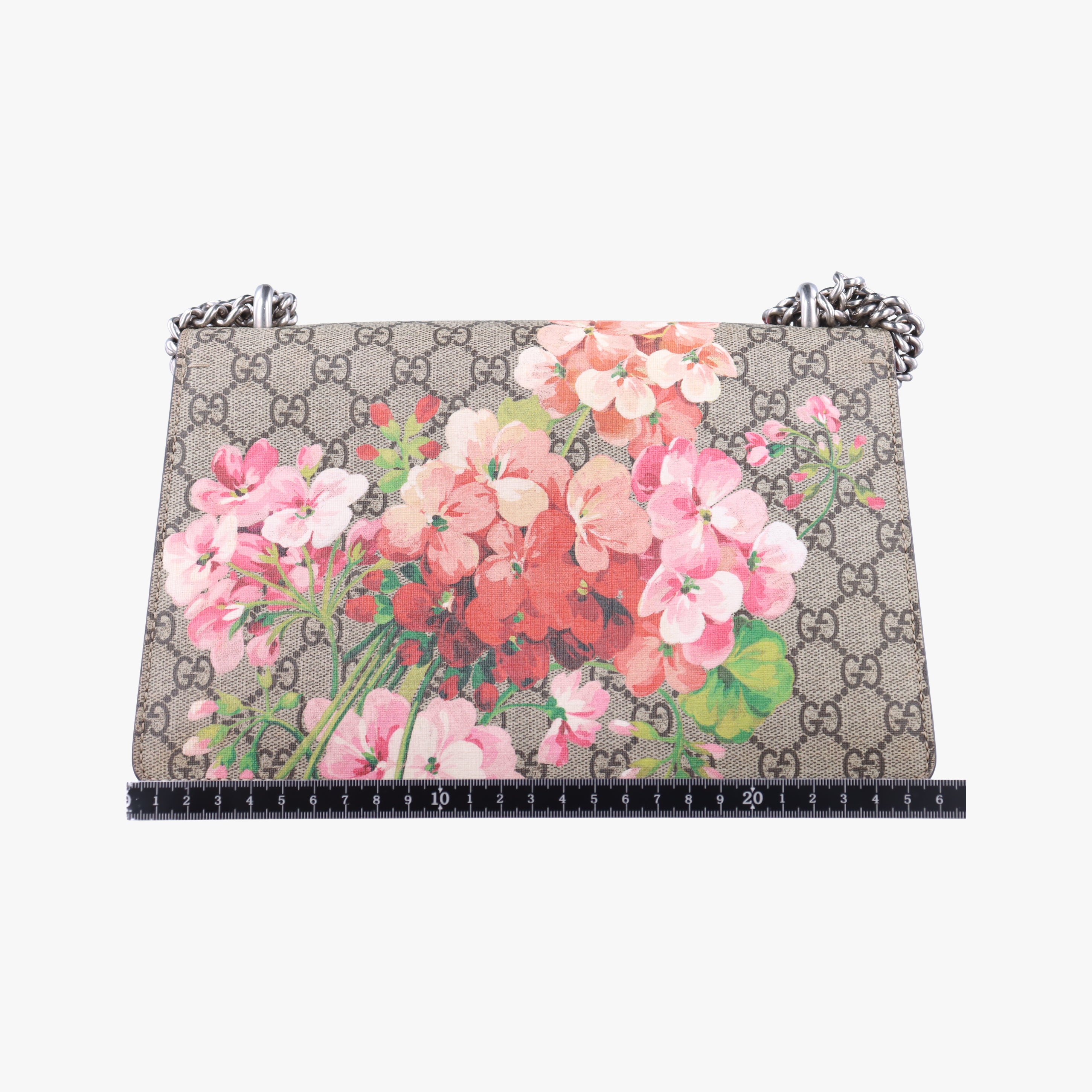 Pre-owned Gucci Dionysus beige×red×Multicolour PVC coated canvas 400249 shoulderbag | stylenewstar