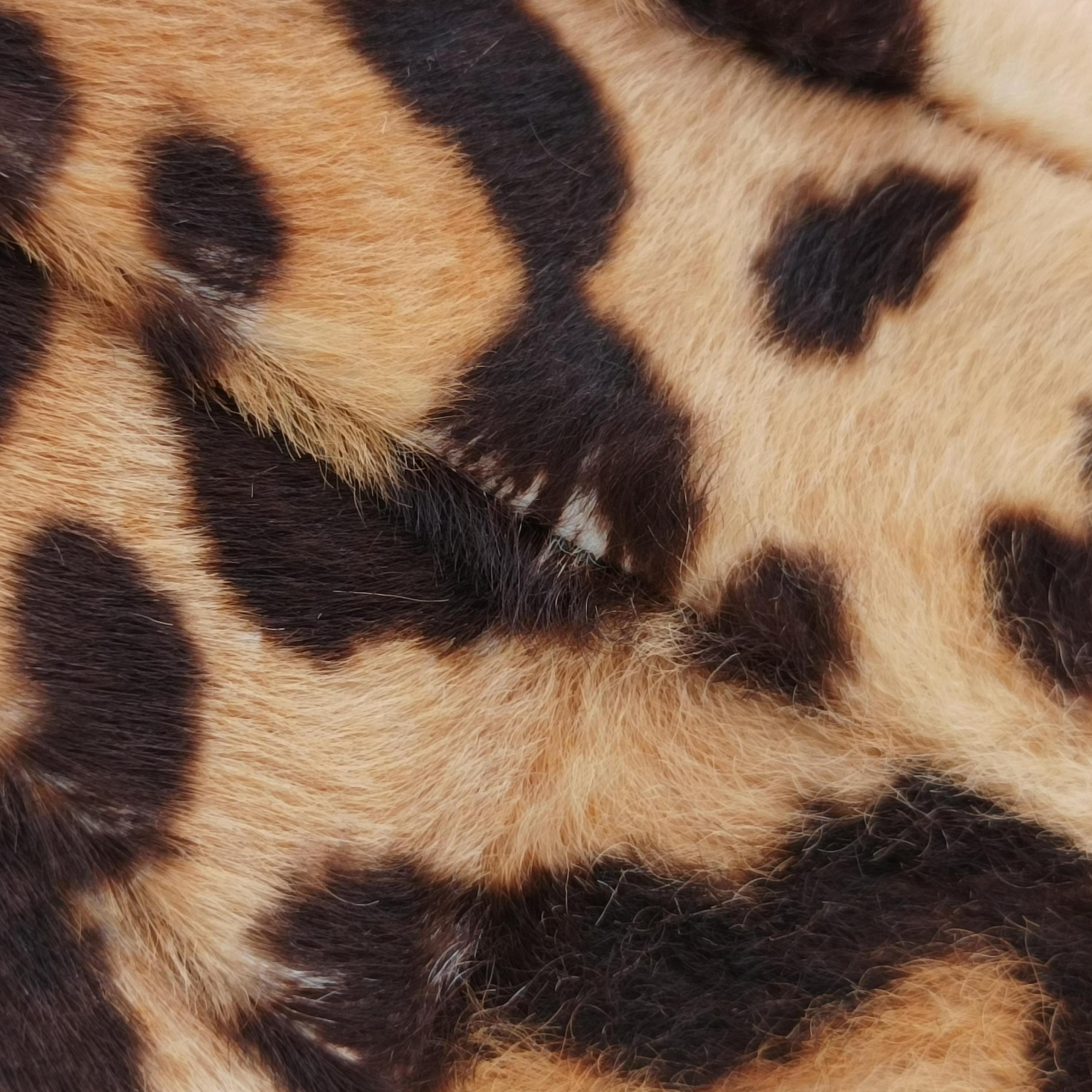 Pre-owned Christian Dior Leopard Print Jazzclub Brown×Multicolour ponyhair  clutchbag | stylenewstar