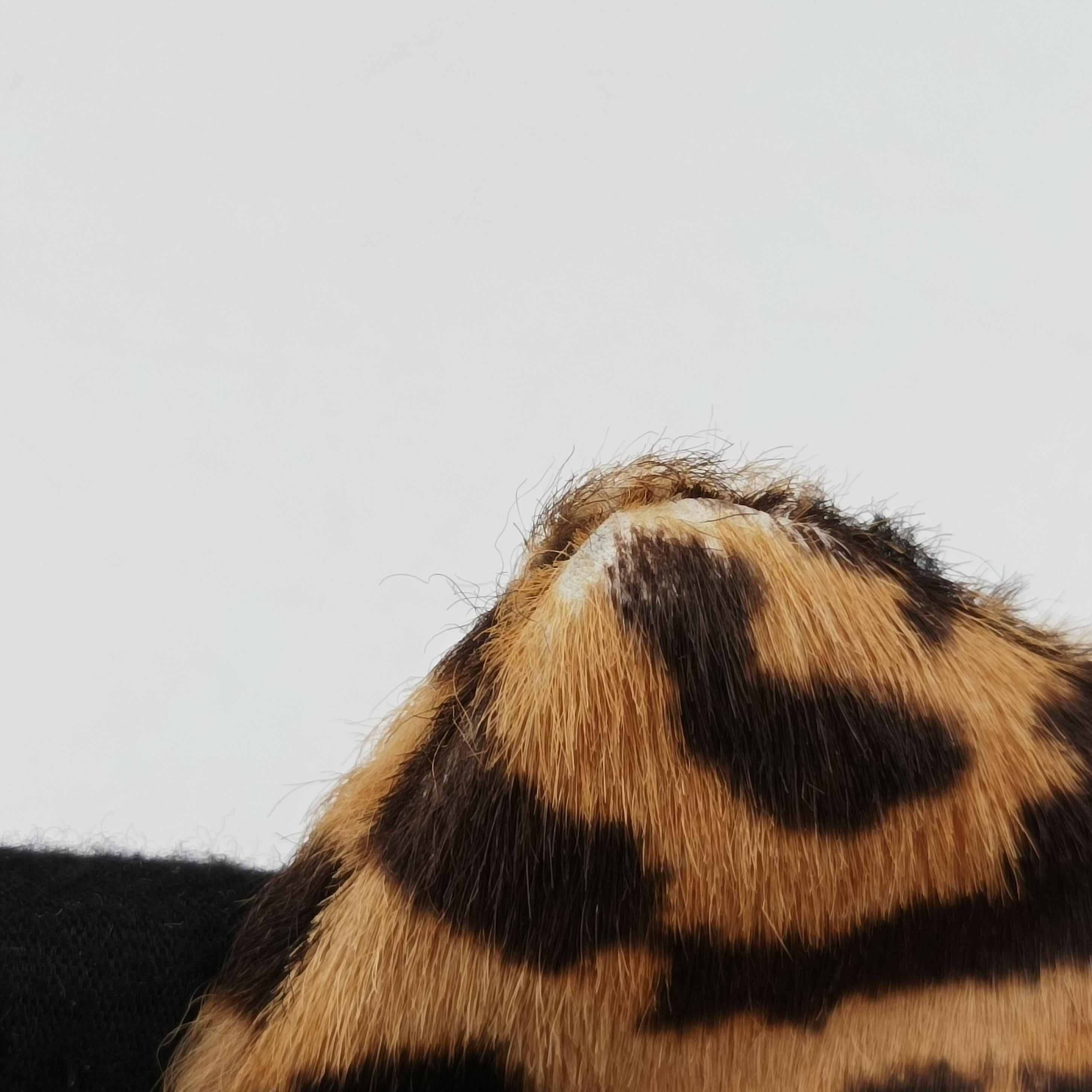 Pre-owned Christian Dior Leopard Print Jazzclub Brown×Multicolour ponyhair  clutchbag | stylenewstar