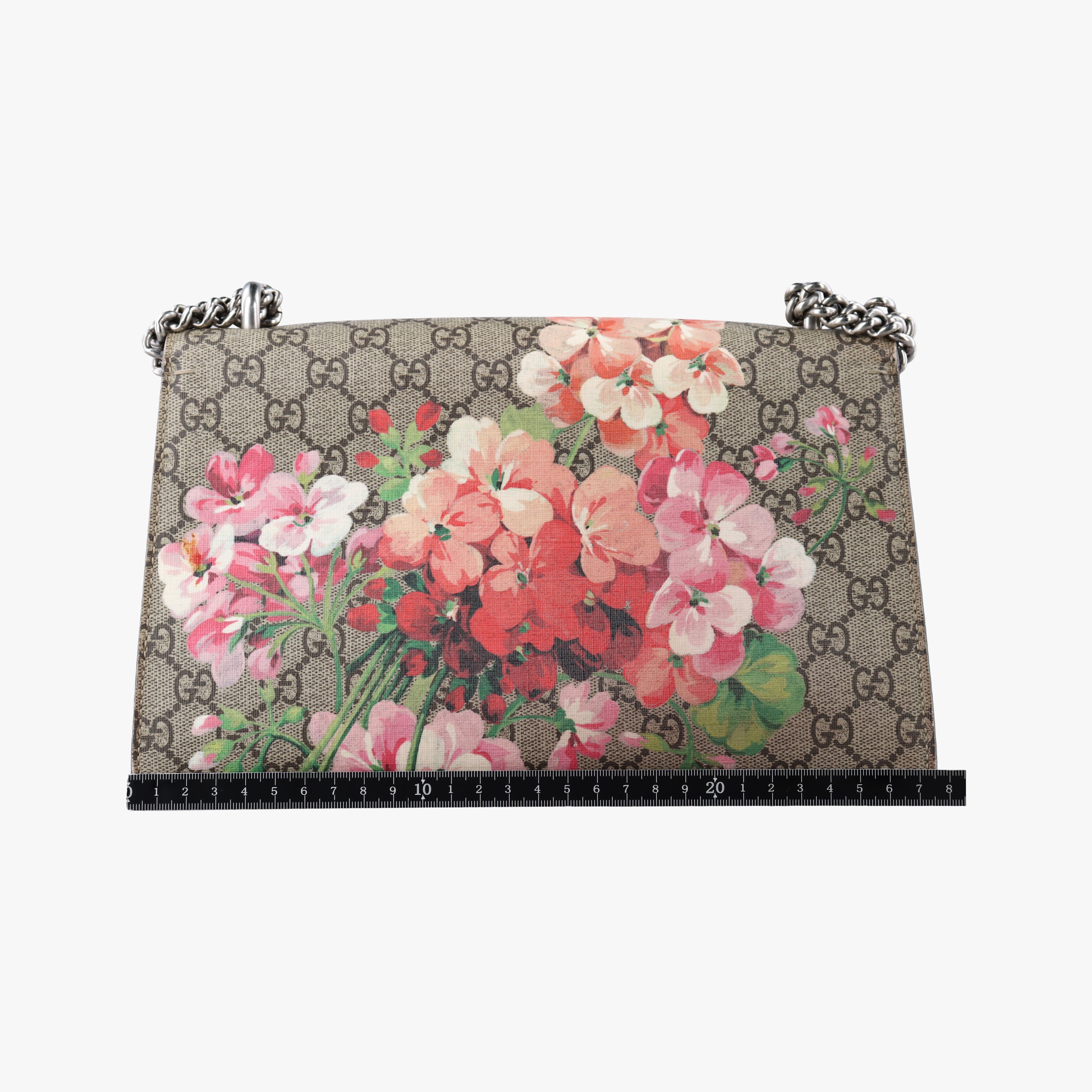 Pre-owned Gucci Dionysus beige×red×Multicolour PVC coated canvas 400249 shoulderbag | stylenewstar