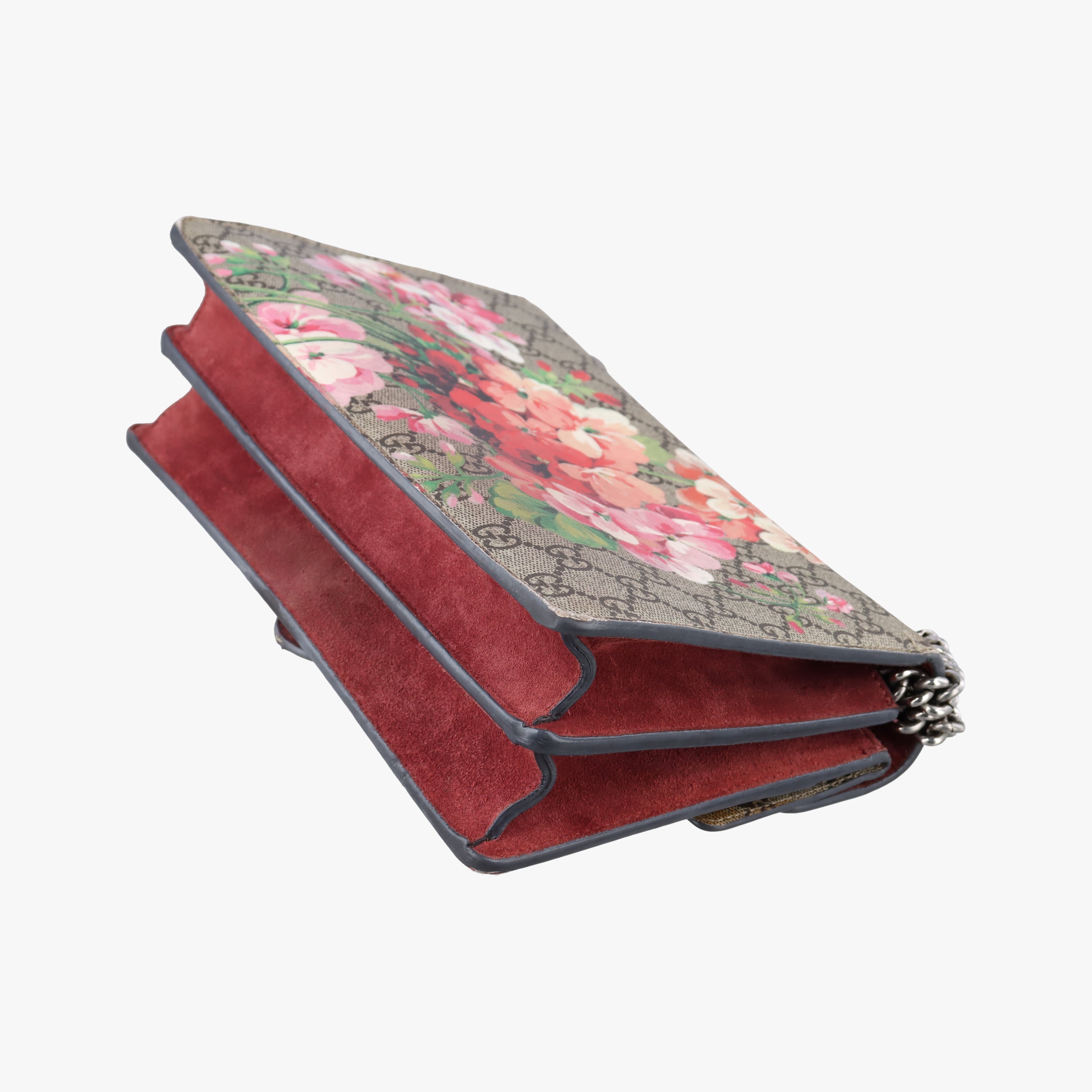 Pre-owned Gucci Dionysus beige×red×Multicolour PVC coated canvas 400249 shoulderbag | stylenewstar