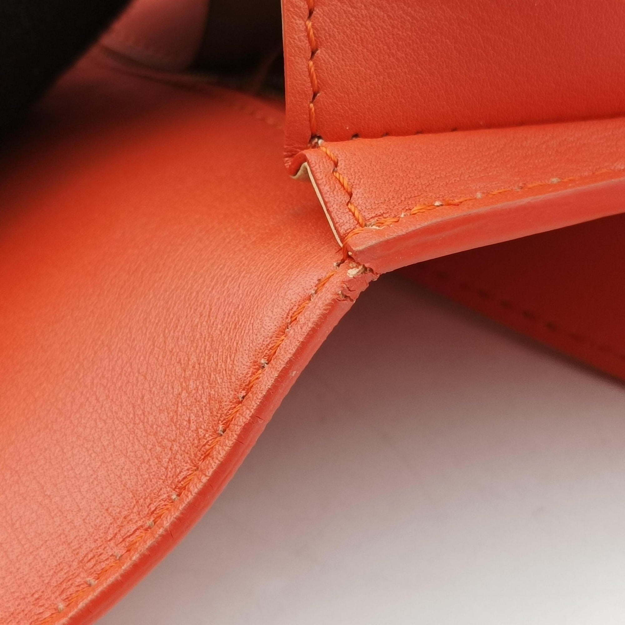 Vintage Delvaux Madame Orange Leather  shoulderbag | stylenewstar