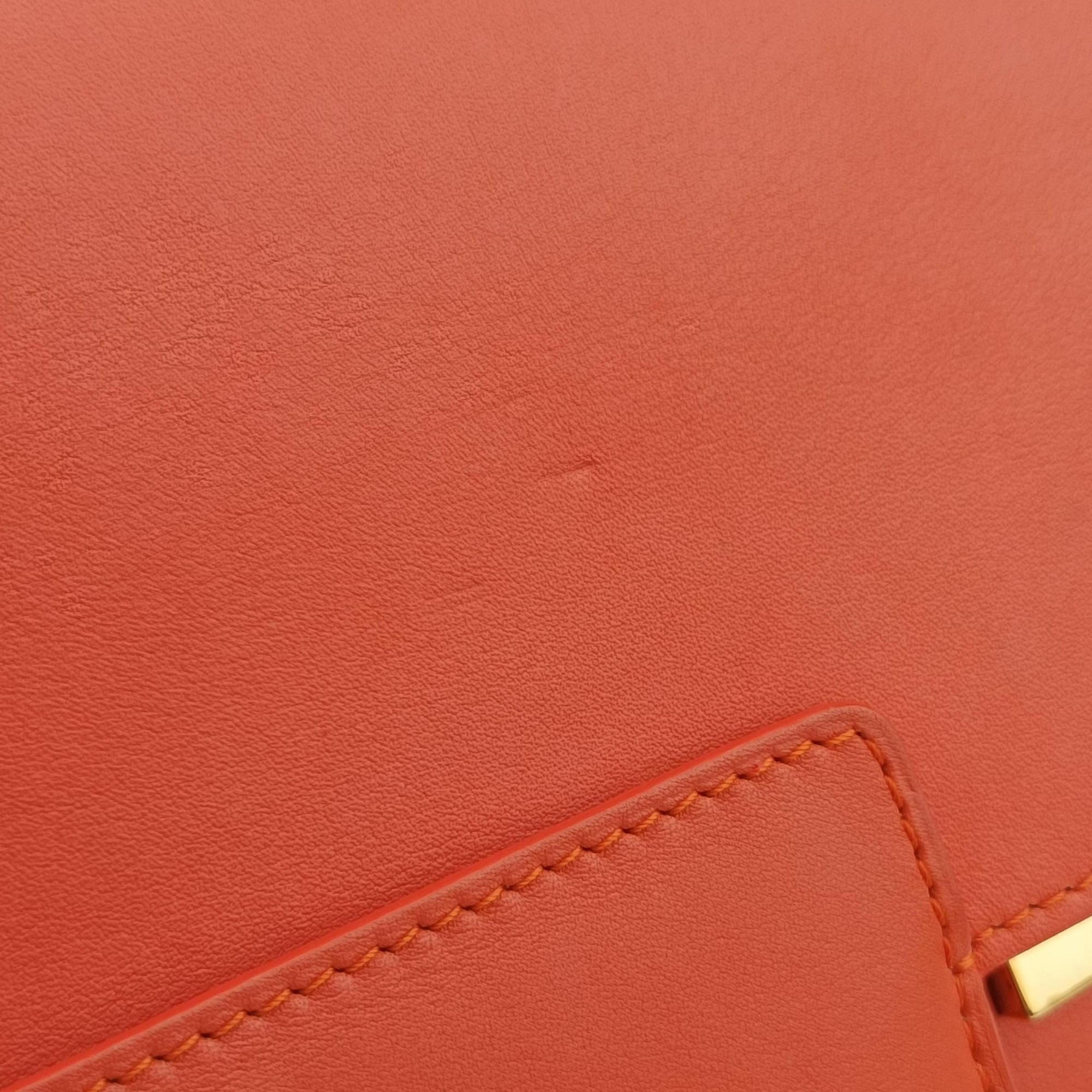 Vintage Delvaux Madame Orange Leather  shoulderbag | stylenewstar